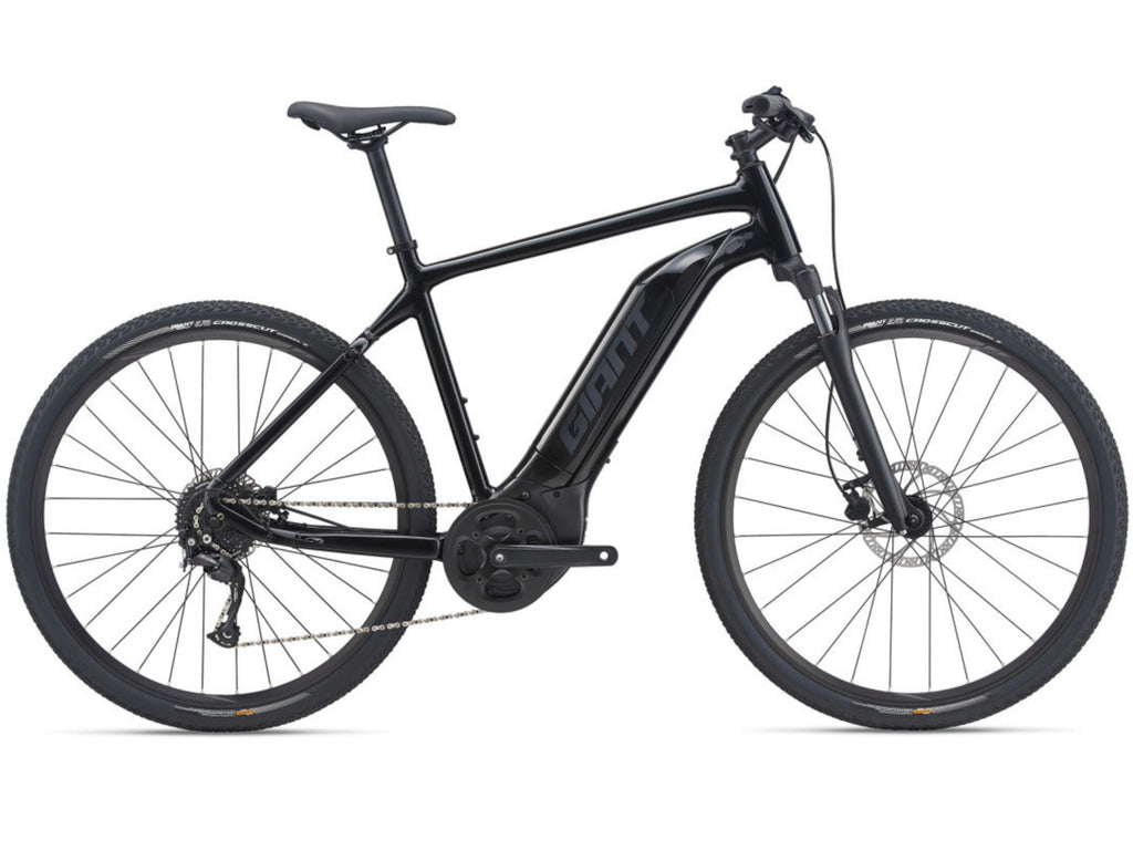 Giant Roam E+ GTS