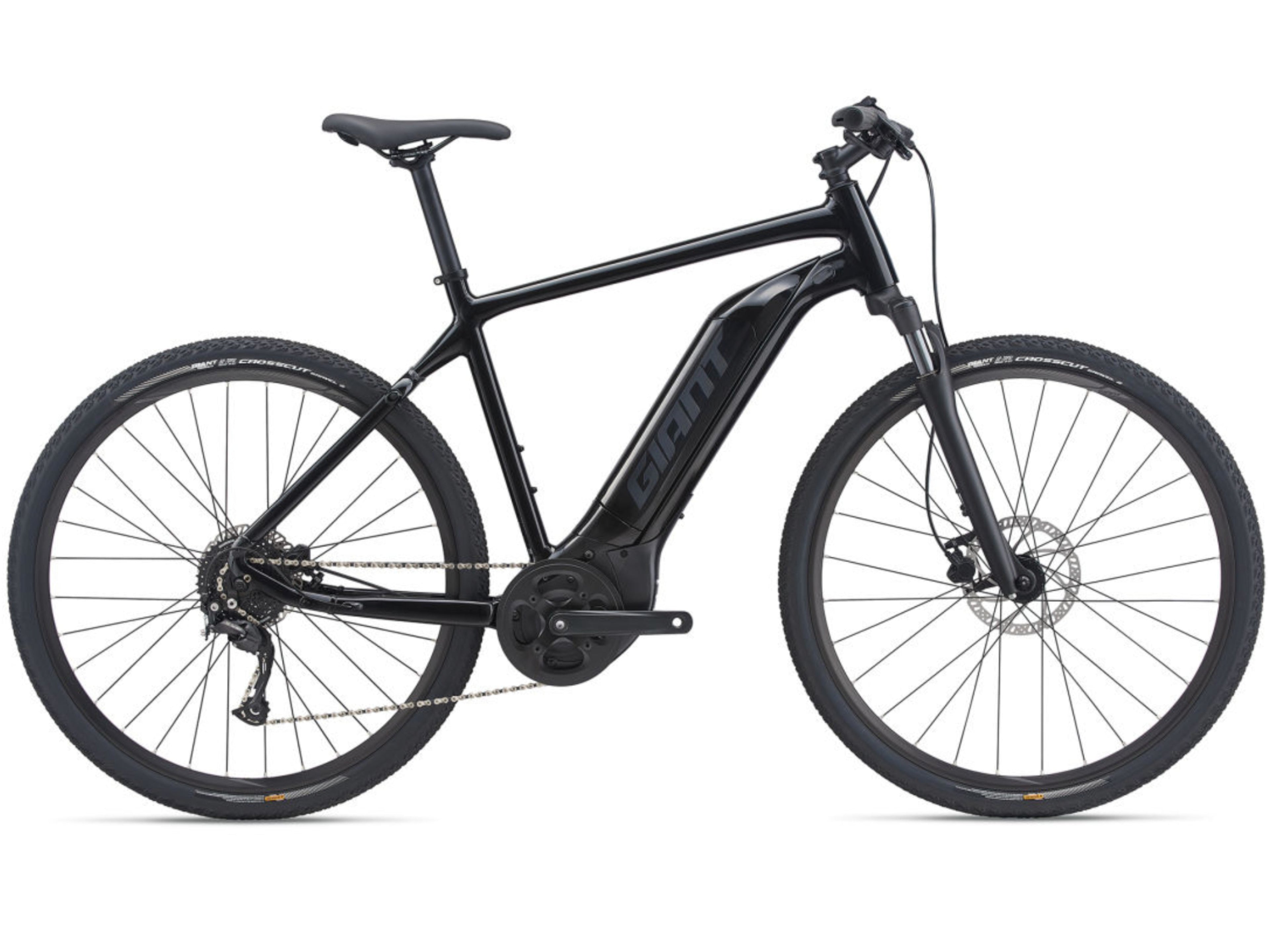Giant Roam E+ GTS