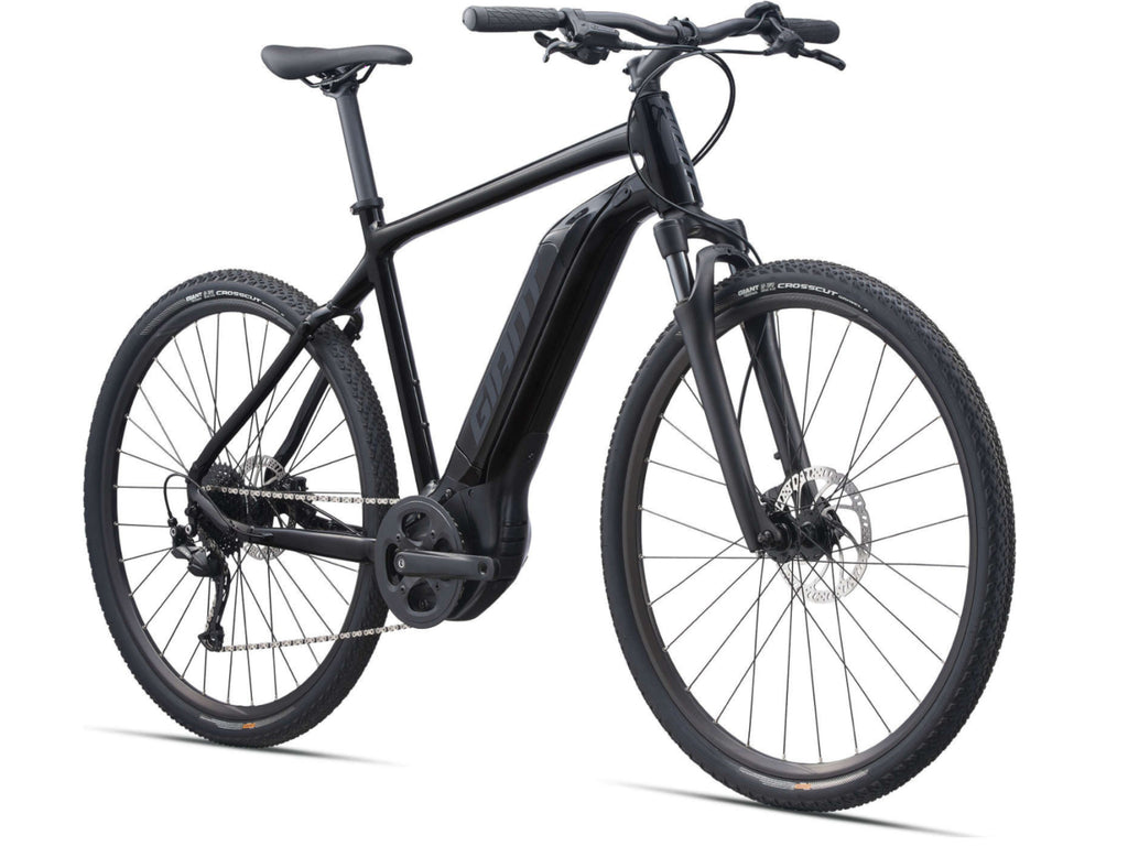 Giant Roam E+ GTS