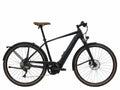 Bulls Urban EVO 10 Diamond Frame