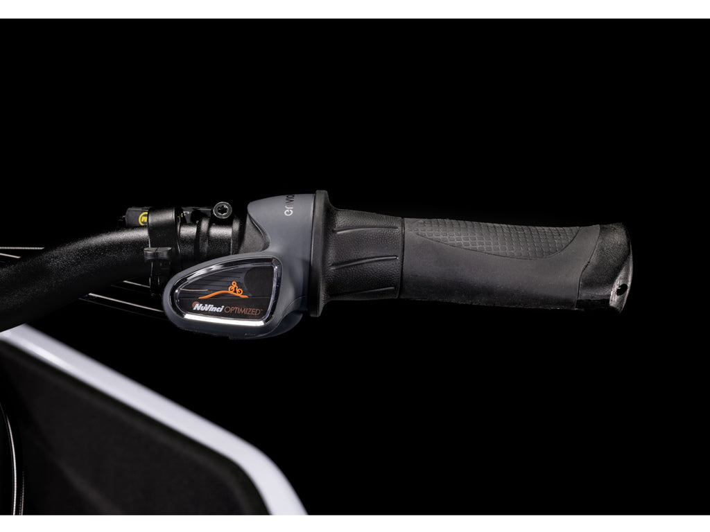 Cube Cargo Dual Sport Hybrid 1000