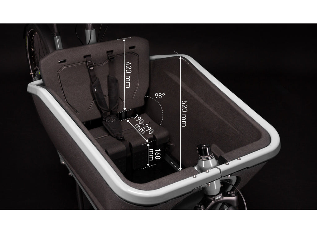 Cube Cargo Dual Sport Hybrid 1000