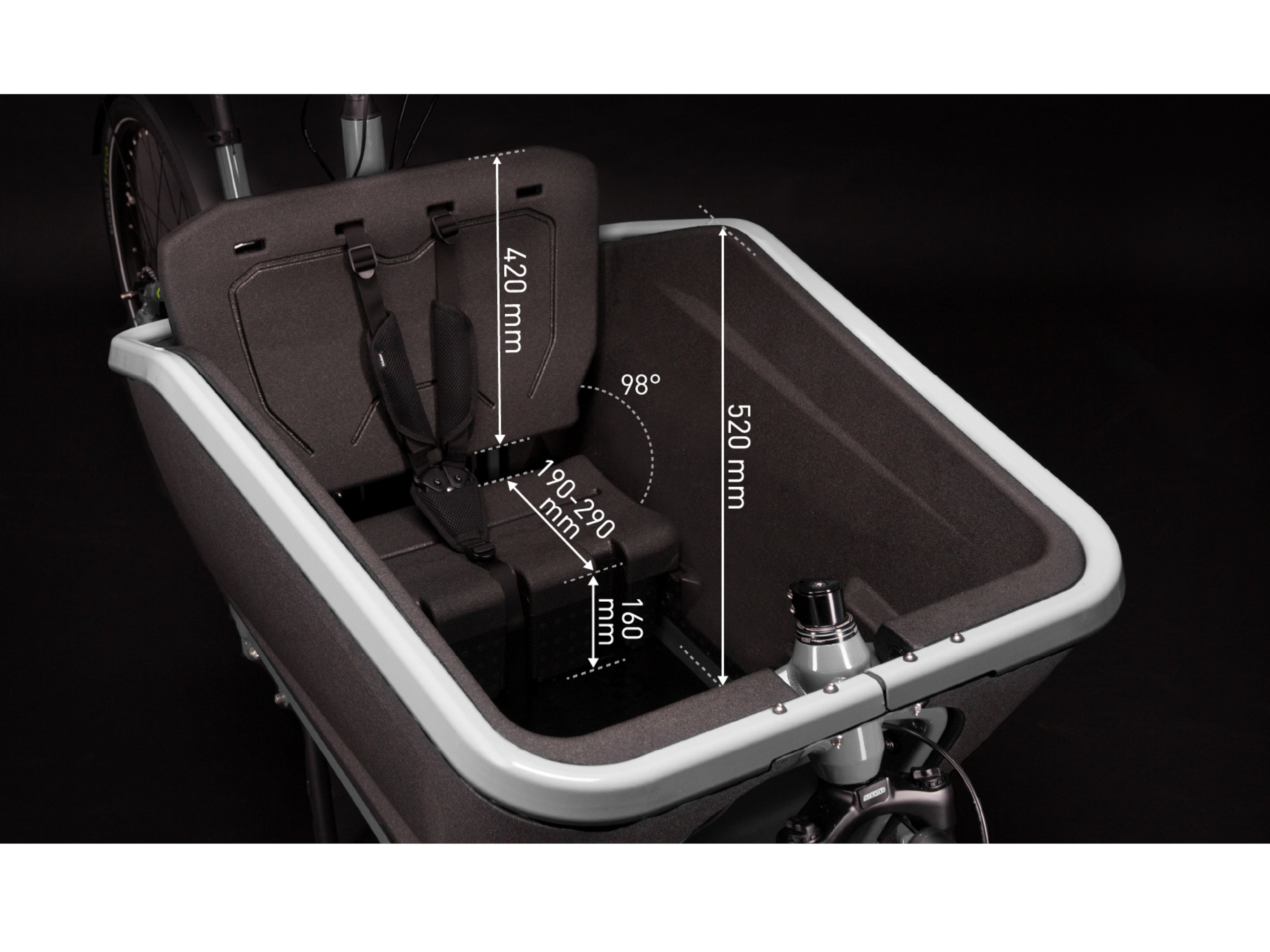 Cube Cargo Dual Sport Hybrid 1000