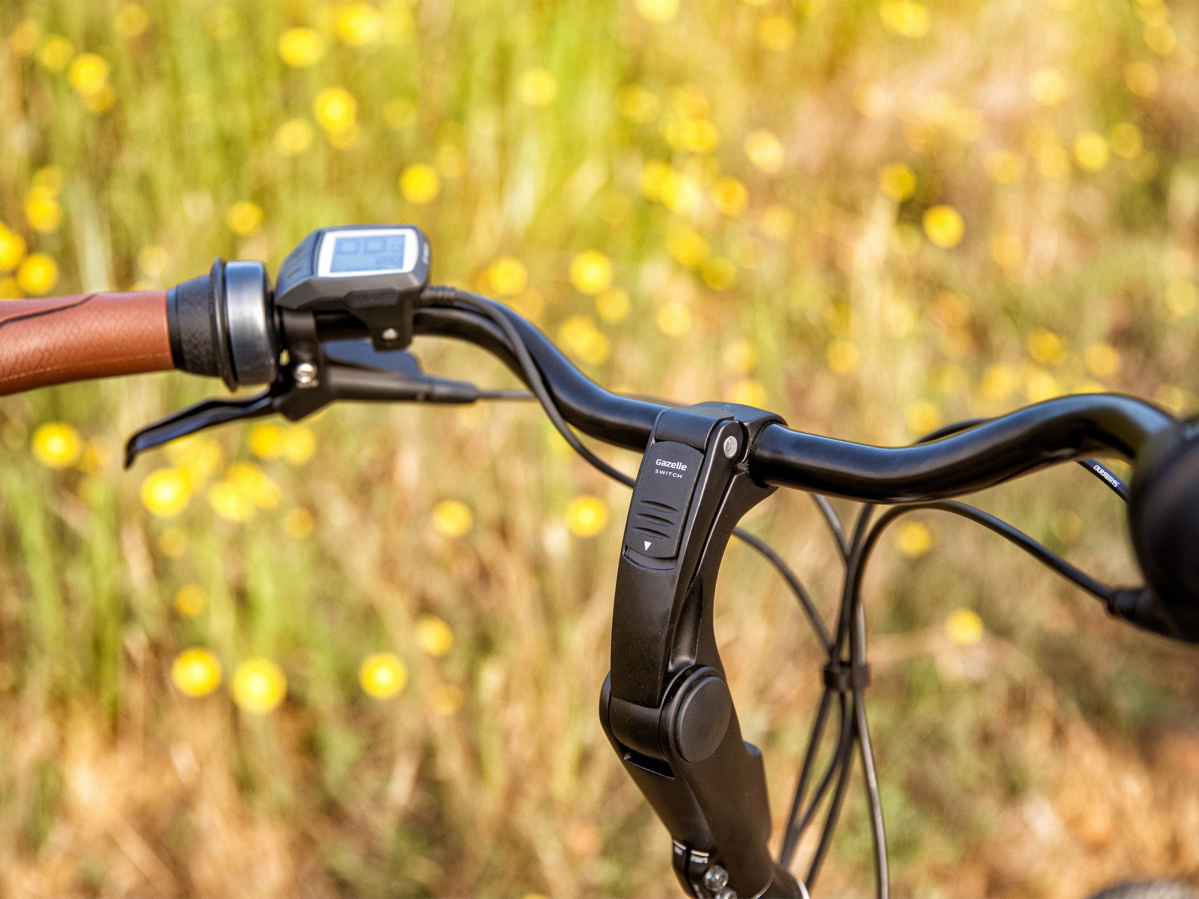 Gazelle Arroyo C7 Elite