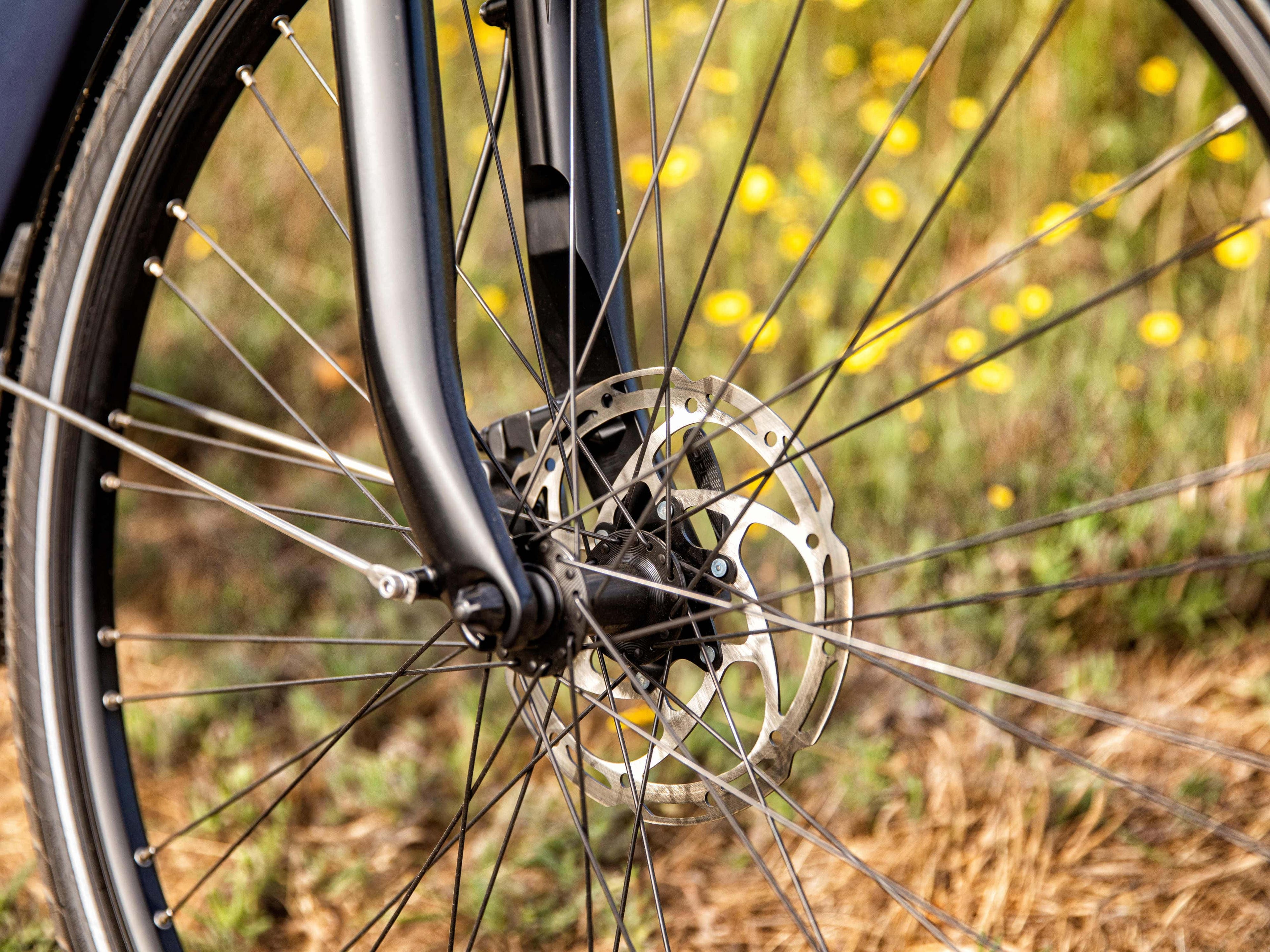 Gazelle Arroyo C7 Elite