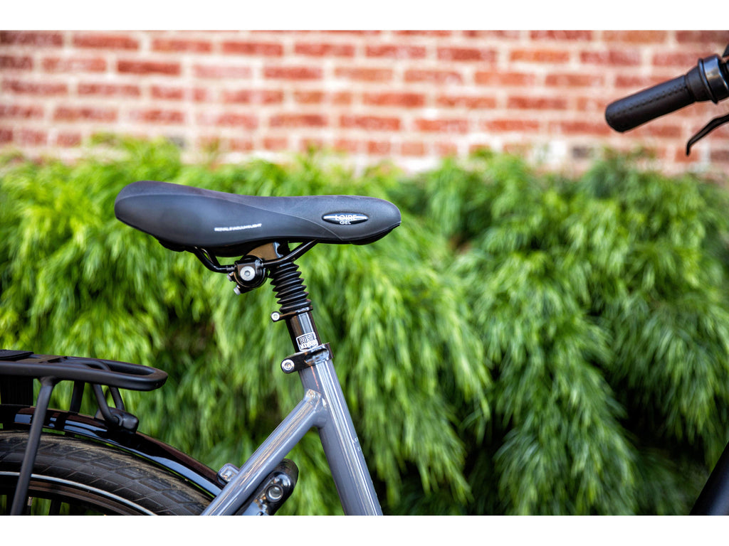 Gazelle Arroyo C8 Elite