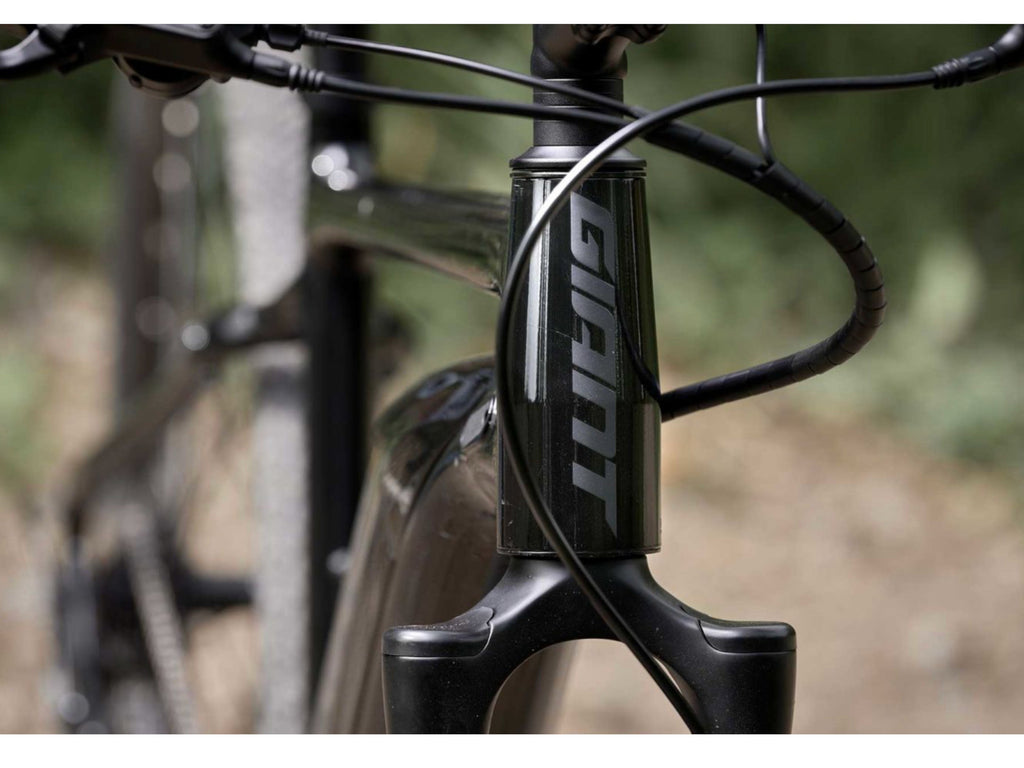 Giant Roam E+ GTS