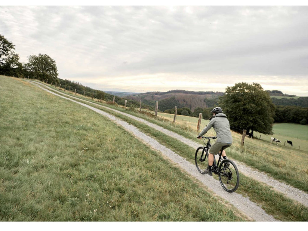 Giant Roam E+ GTS