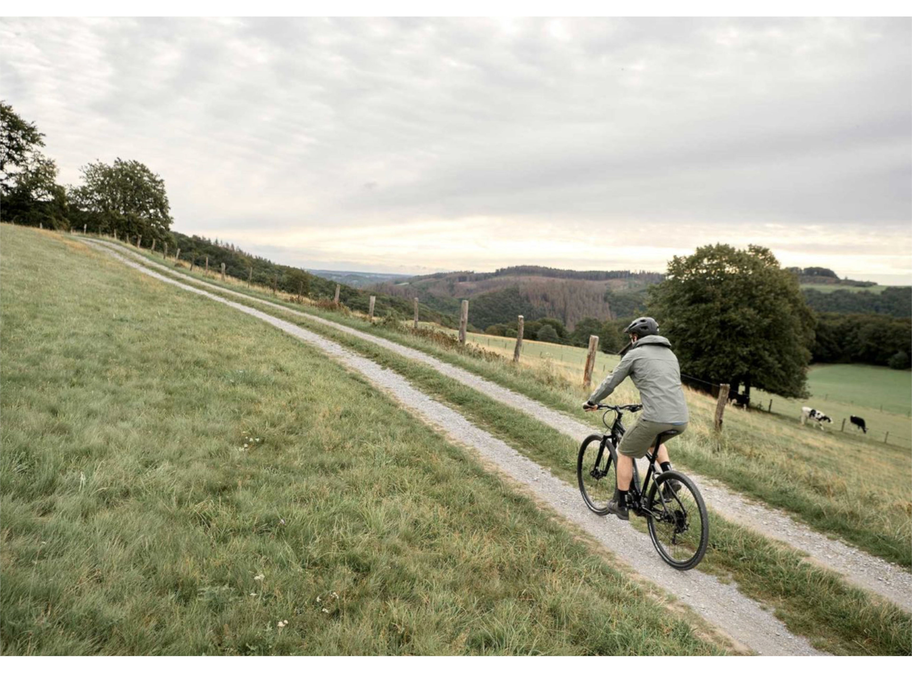 Giant Roam E+ GTS