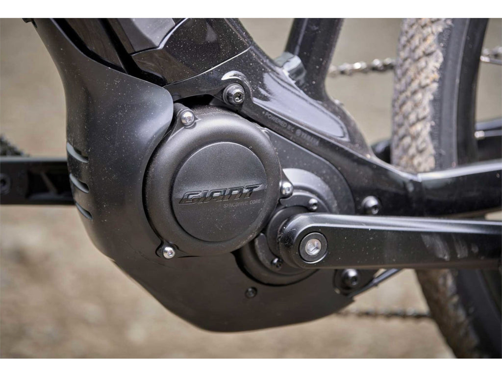Giant Roam E+ STA