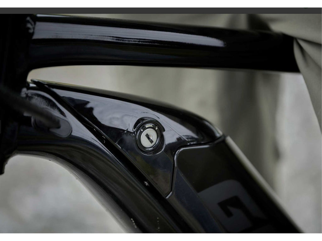 Giant Roam E+ STA