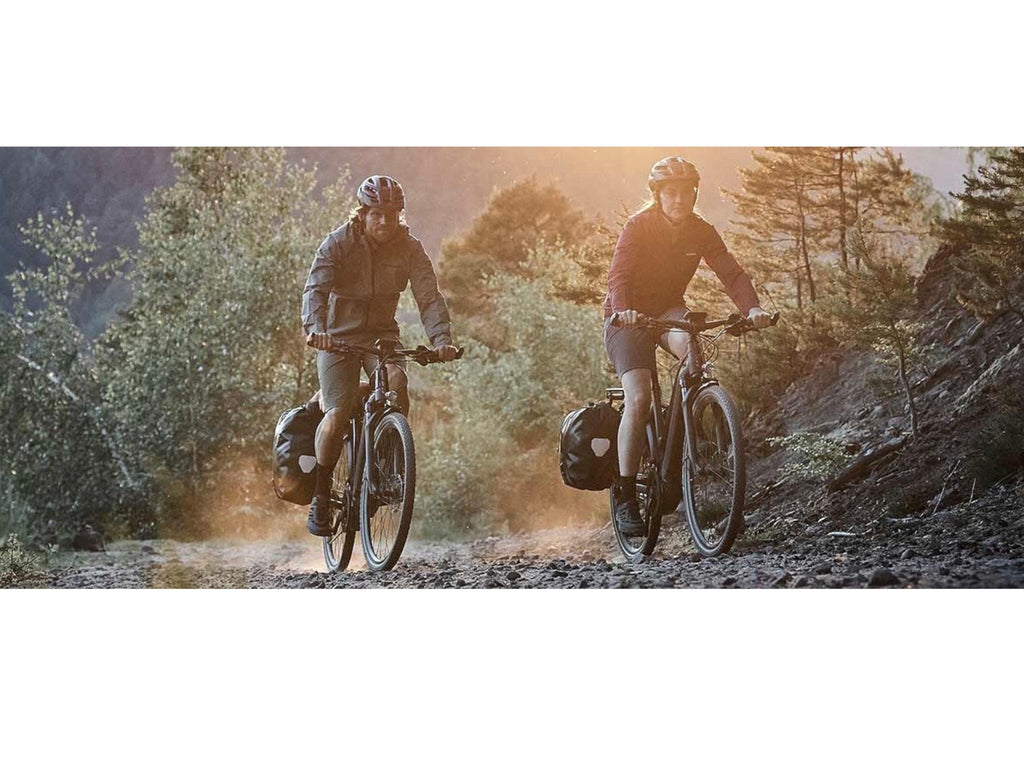 Giant Roam E+ STA