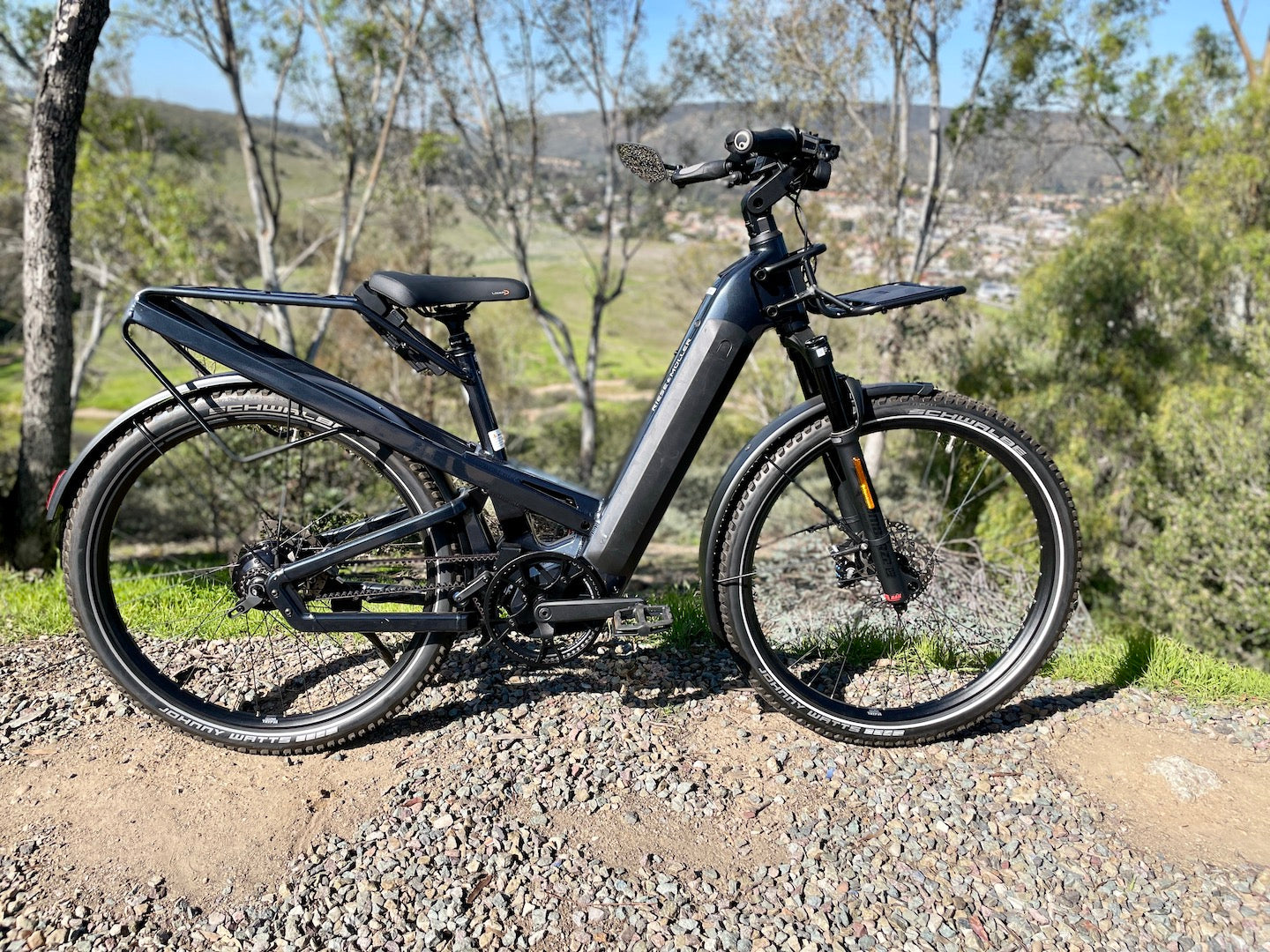 Riese and Muller Homage GT Rohloff HS
