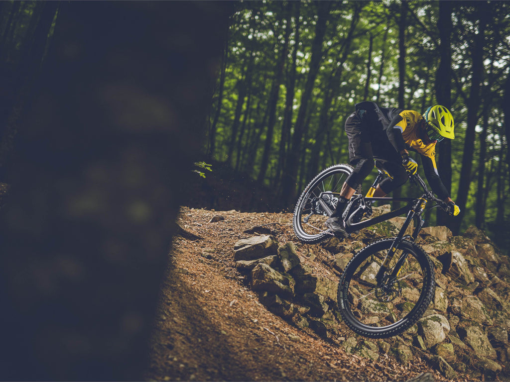 Mondraker Crafty R