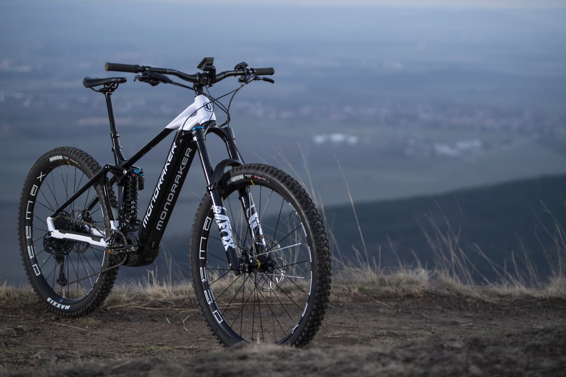 Mondraker Level R