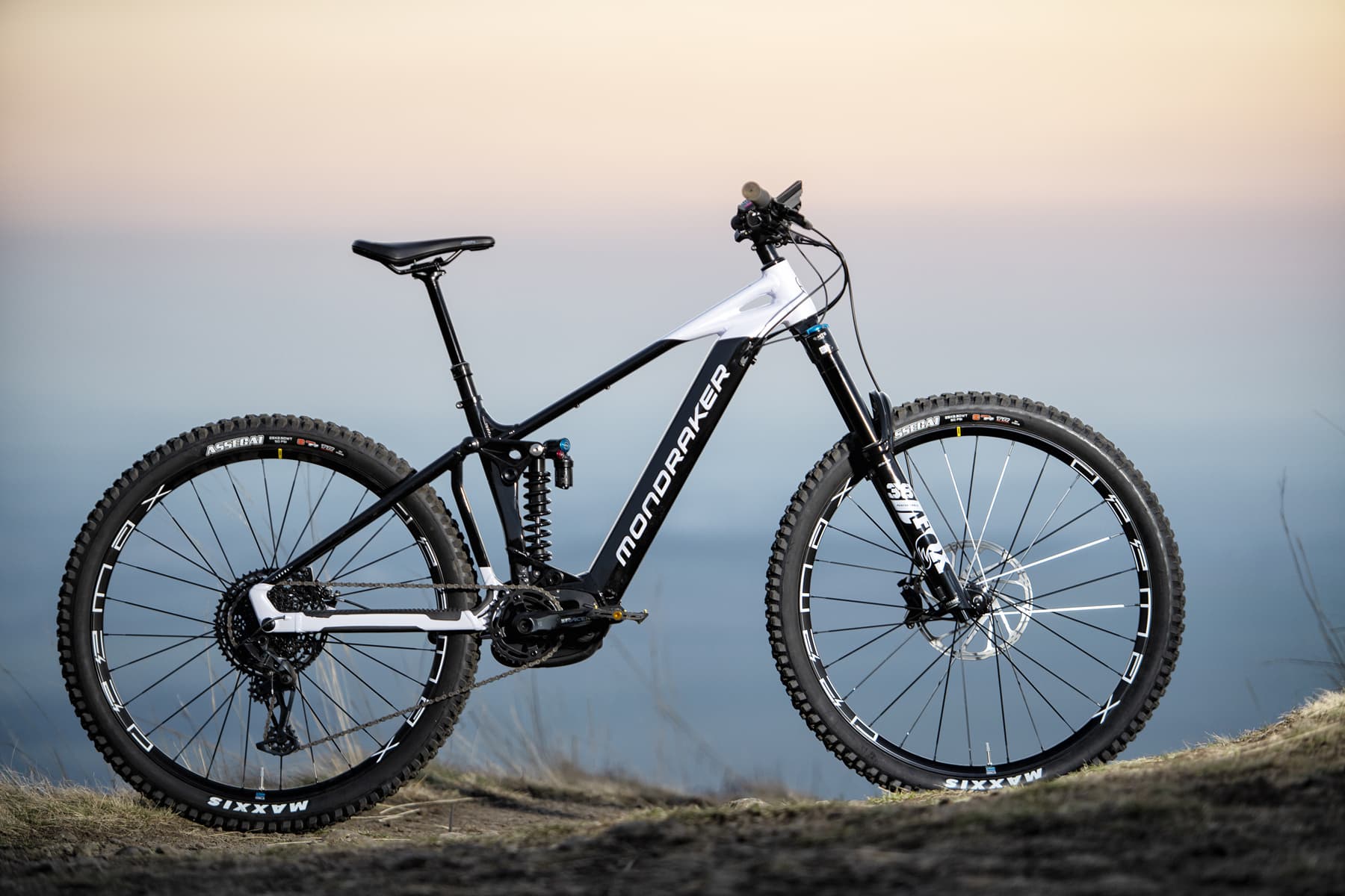 Mondraker Level R