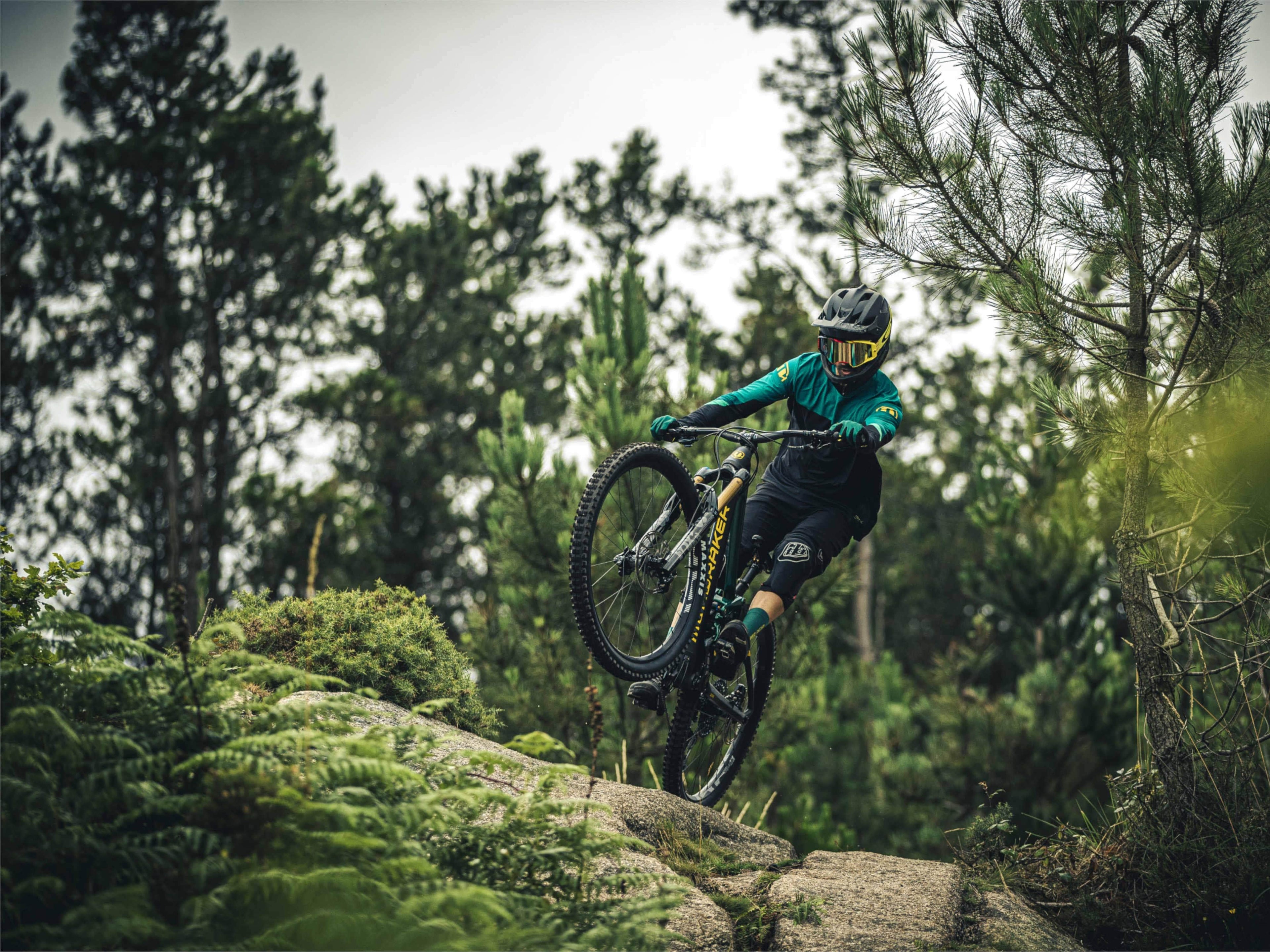 Mondraker Level R