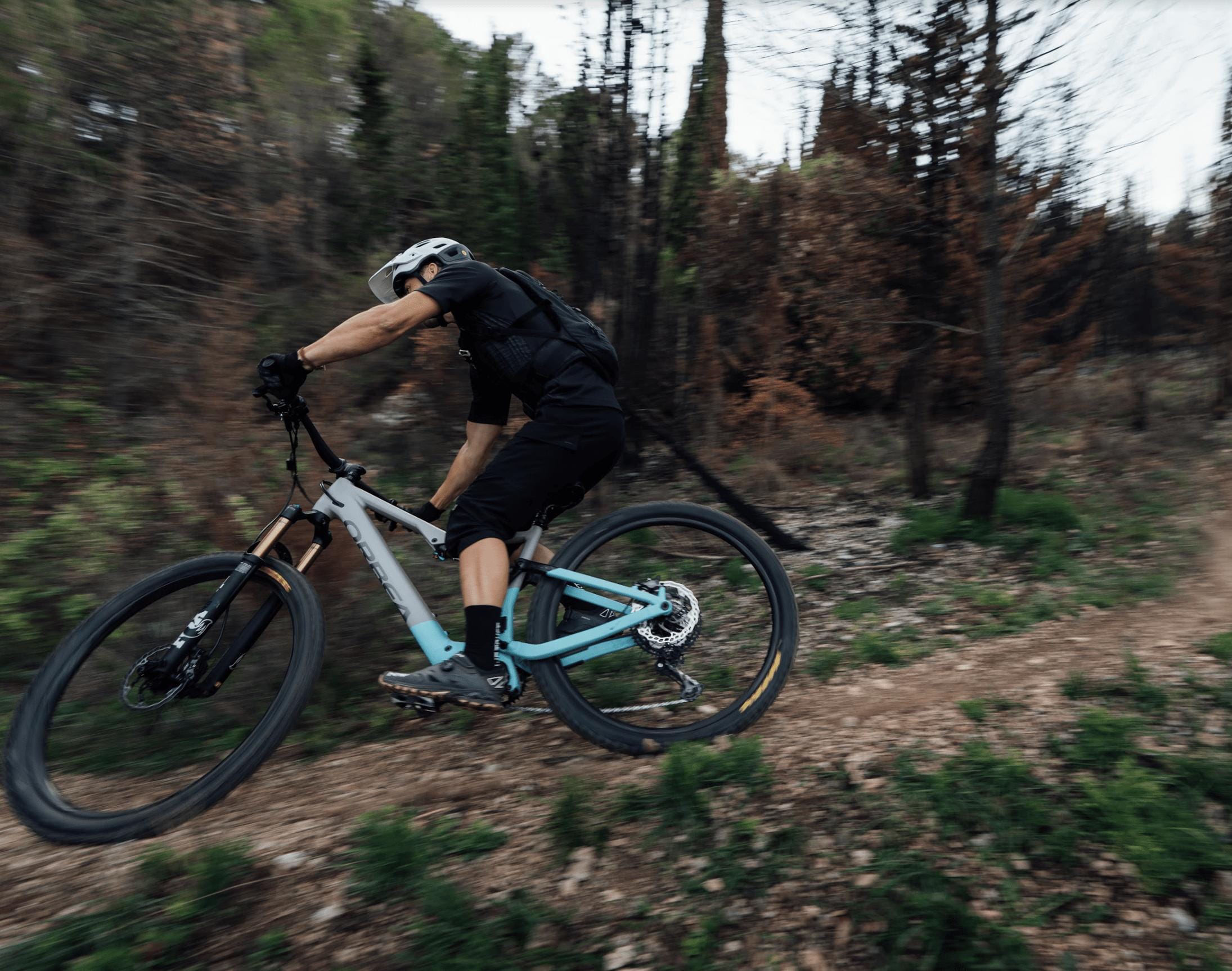 Orbea Rise H15 -DEMO