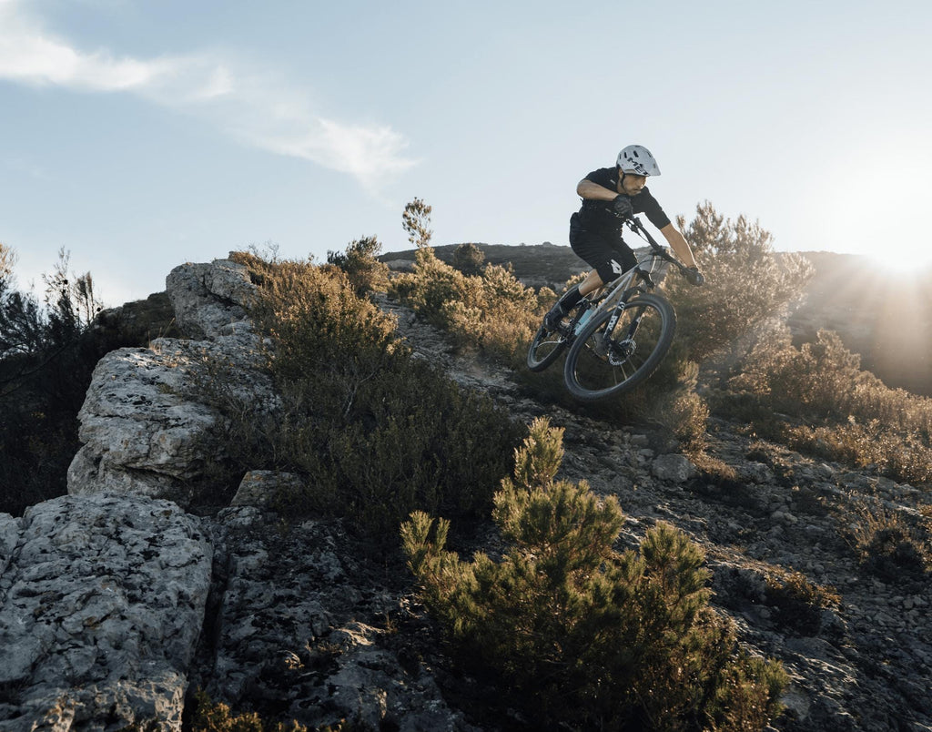 Orbea Rise H15 -DEMO