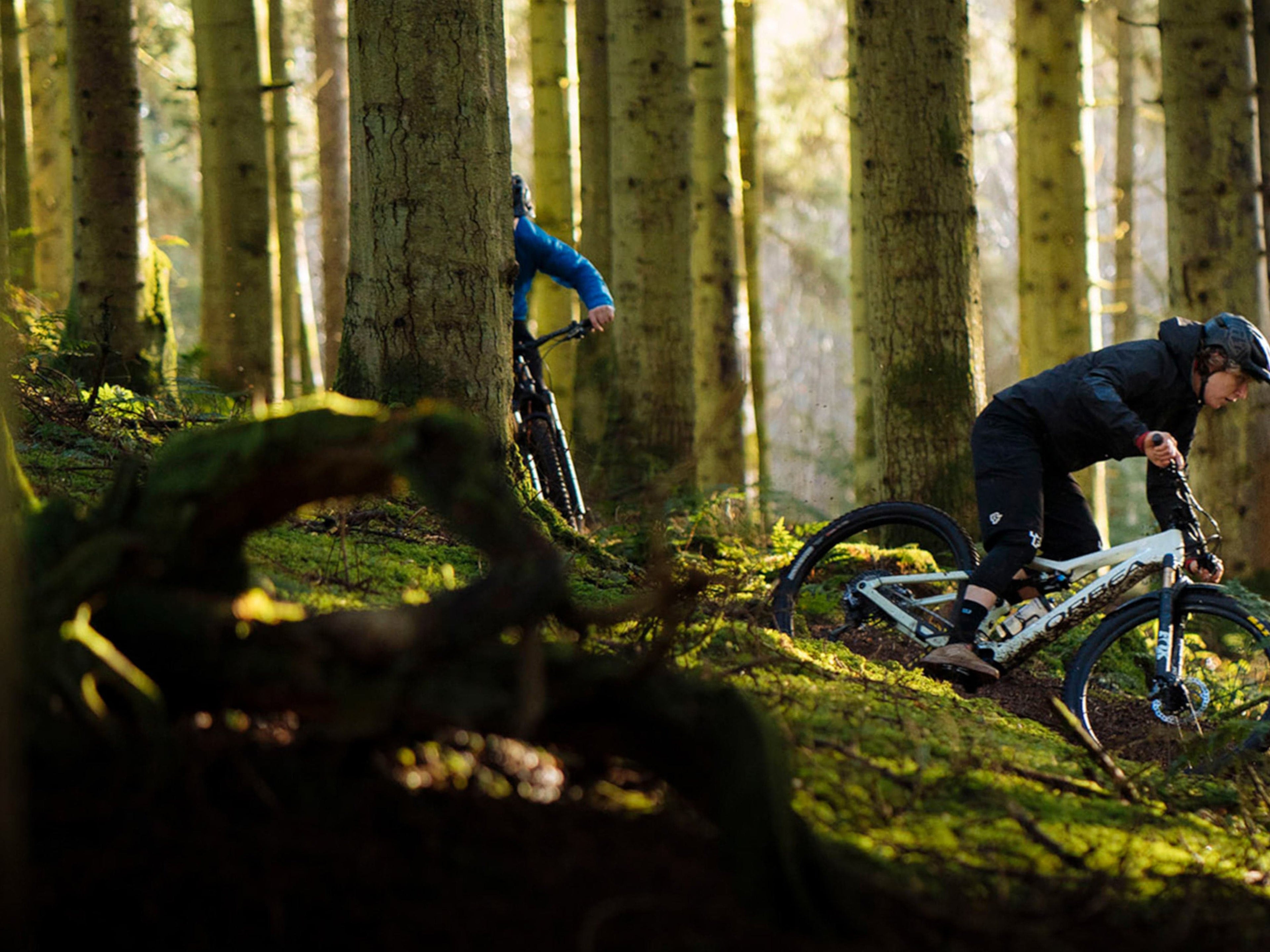 Orbea Rise H15 -DEMO