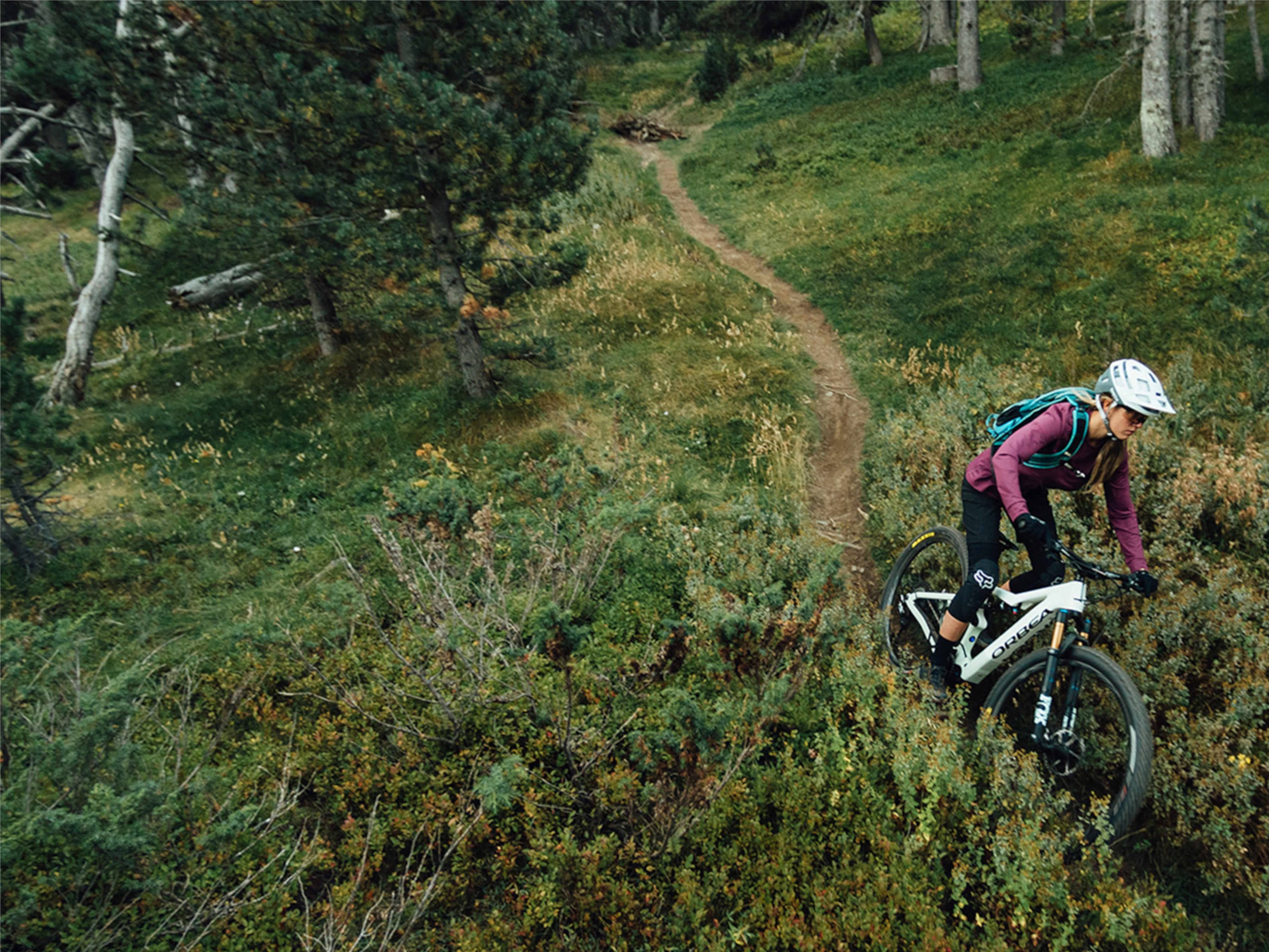 Orbea Rise Hydro H30