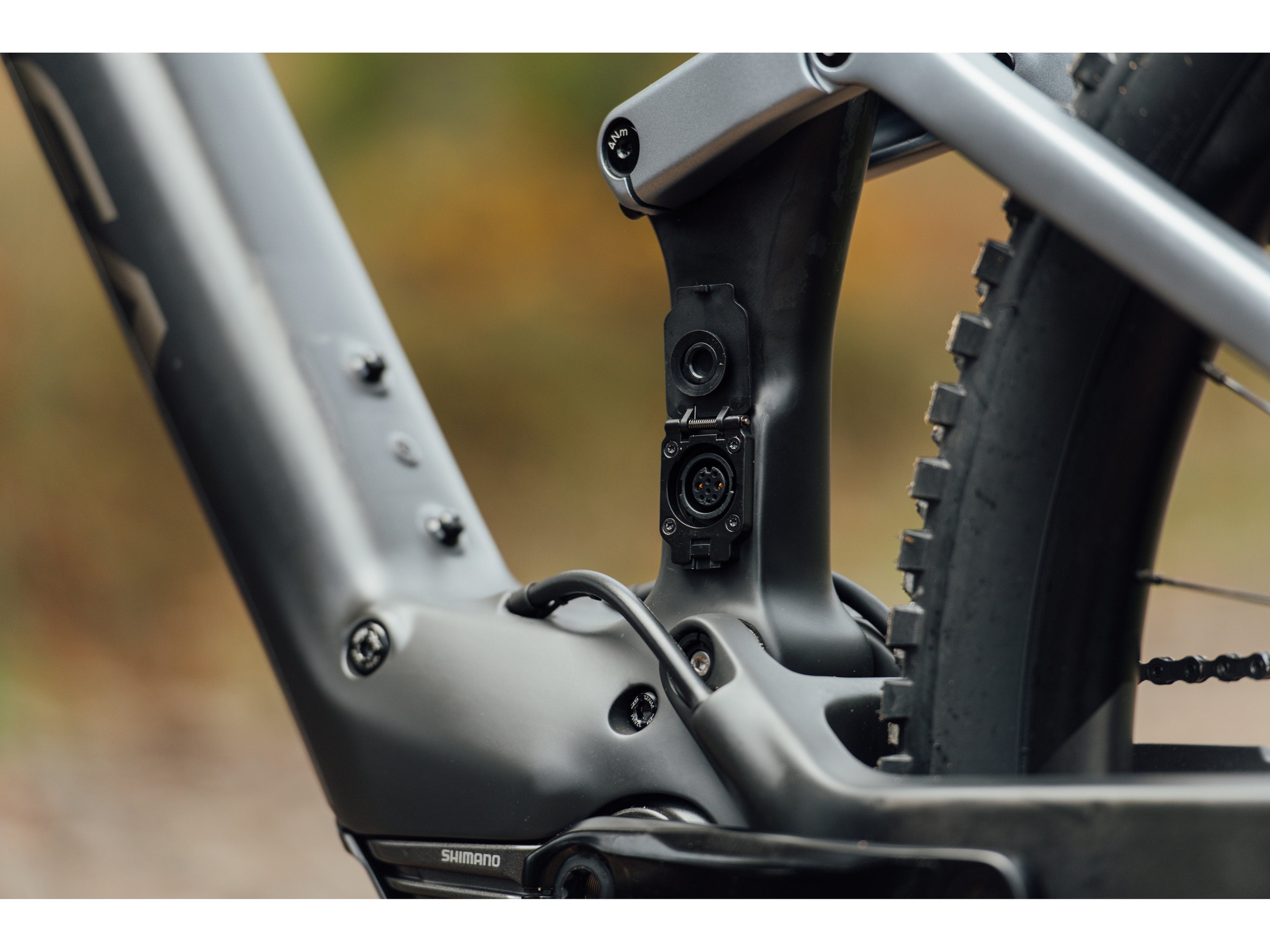 Orbea Rise M20 - DEMO