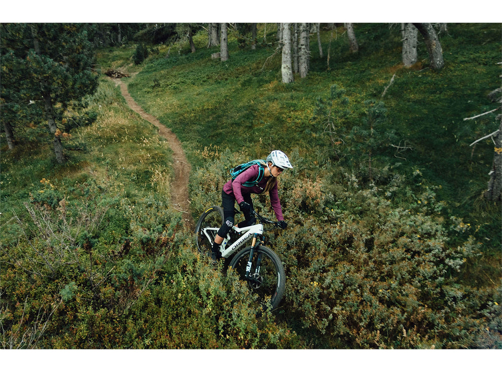 Orbea Rise M20 - DEMO
