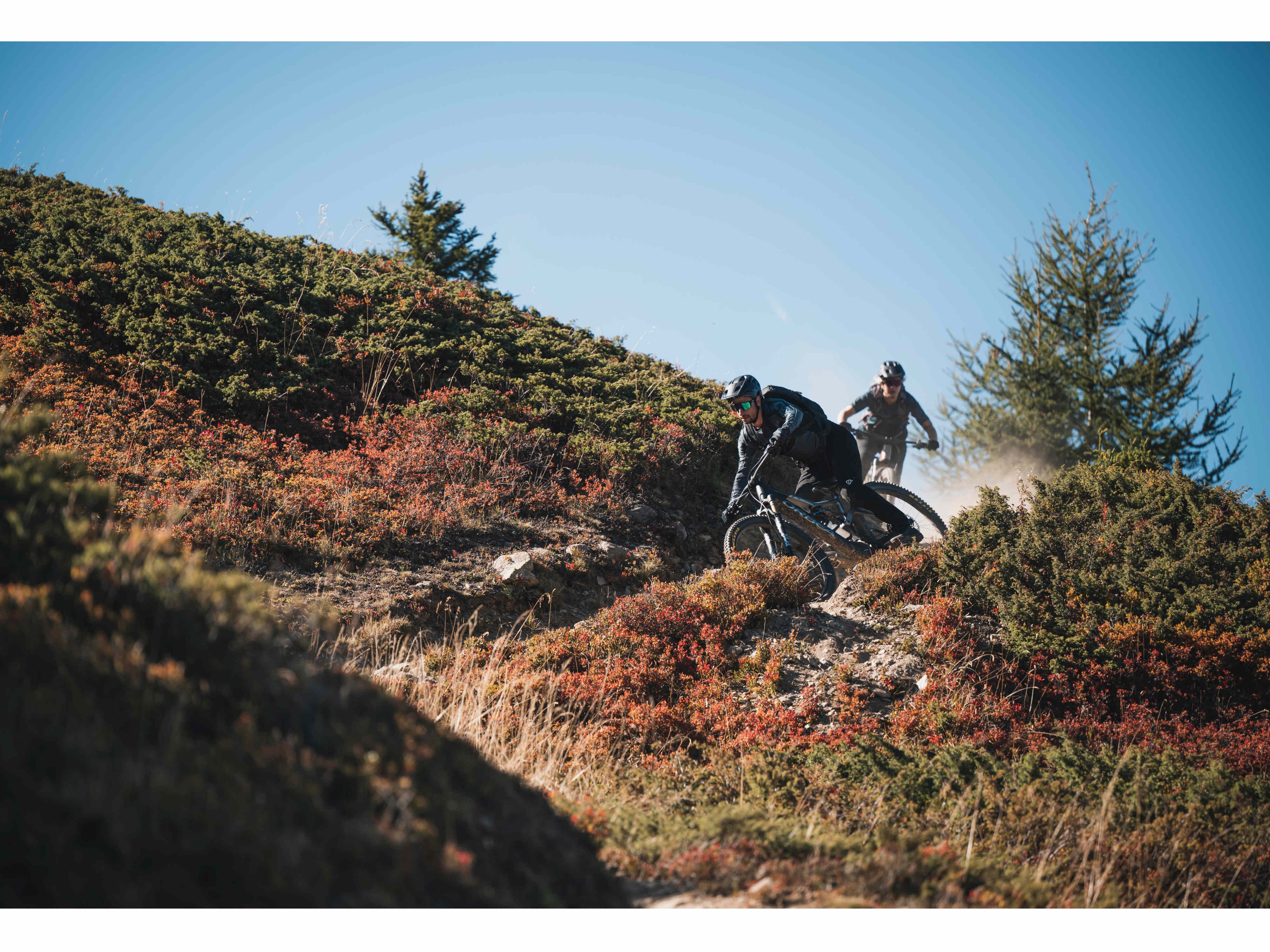 Orbea Rise M-TEAM