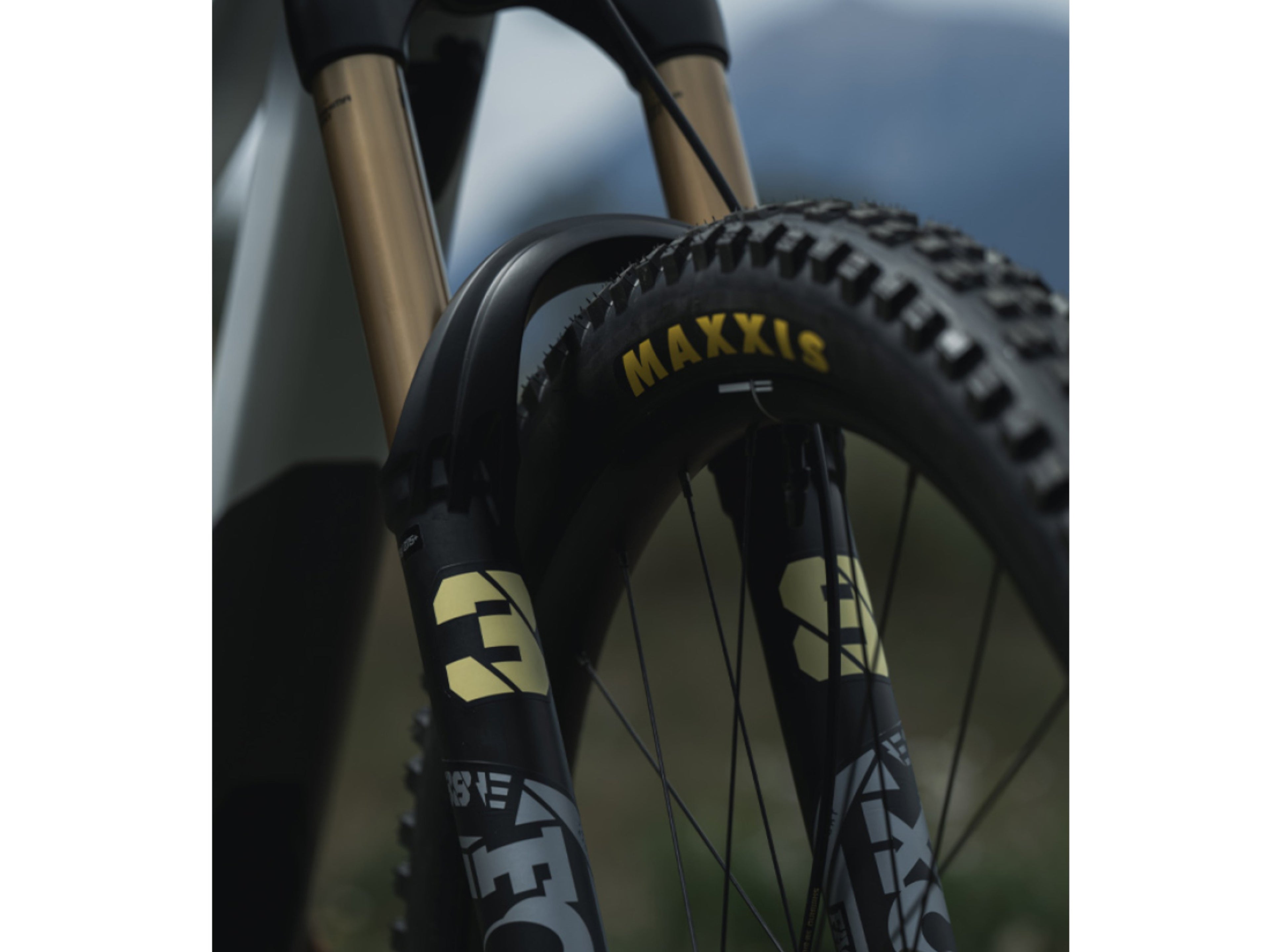 Orbea Wild H30