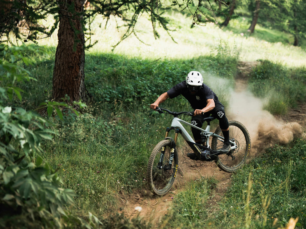 Orbea Wild H30