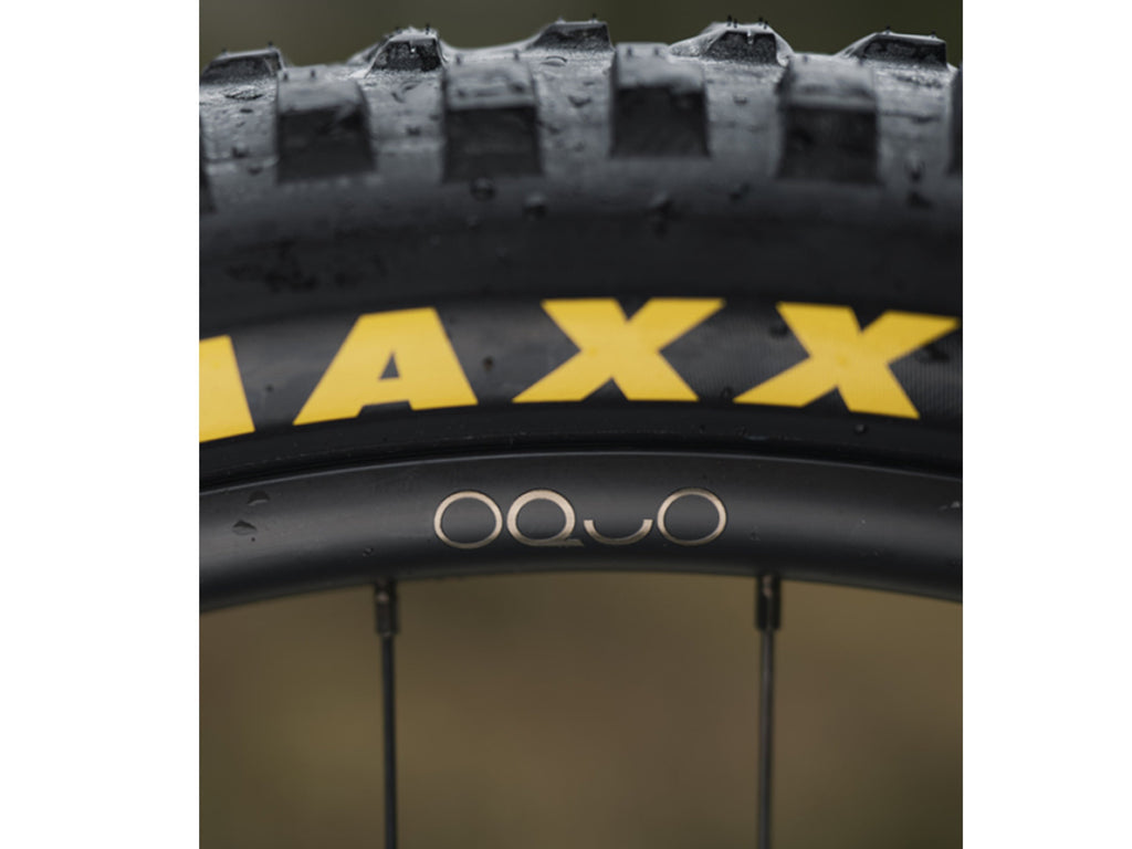 Orbea Wild H10