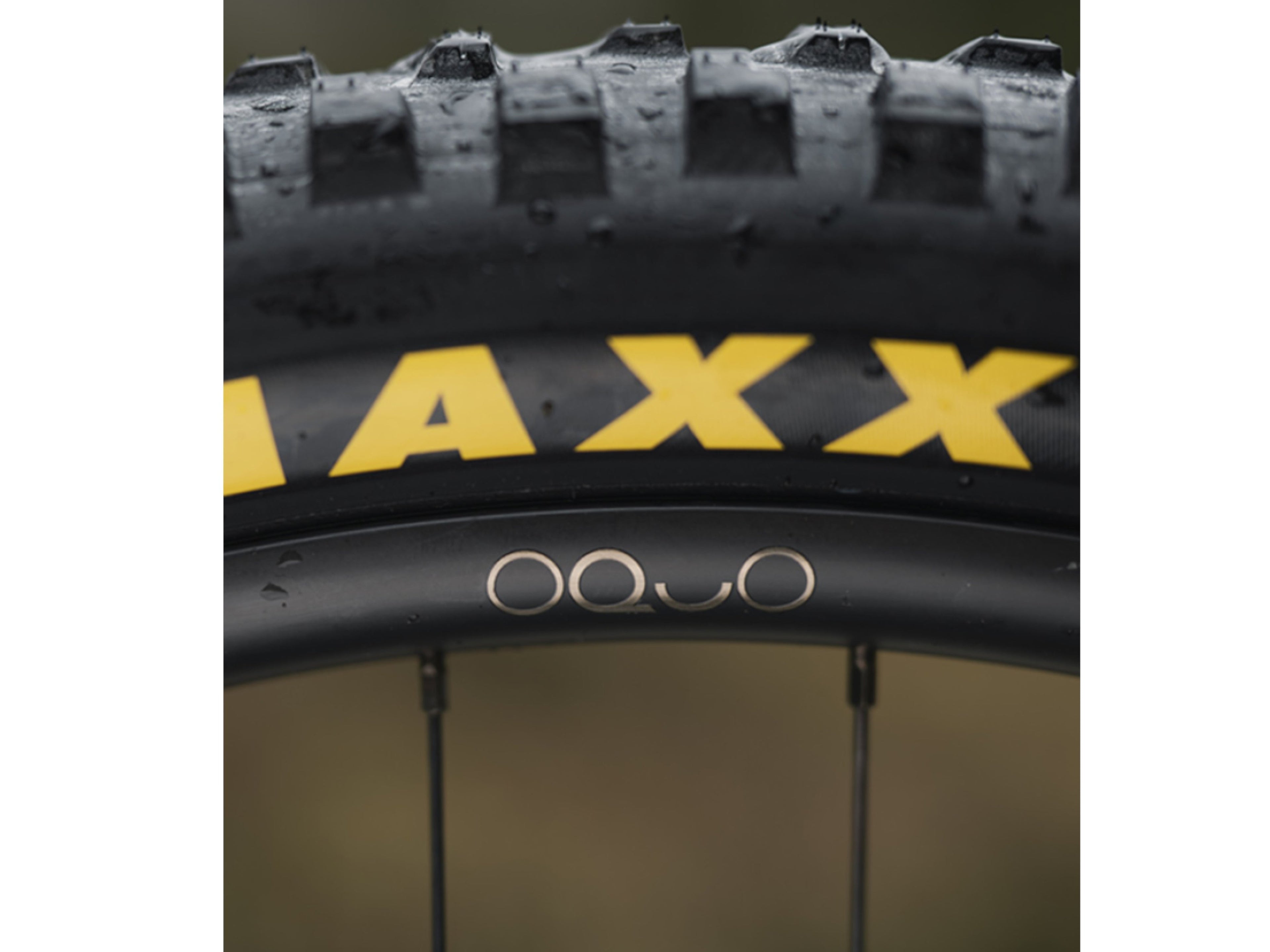 Orbea Wild H10