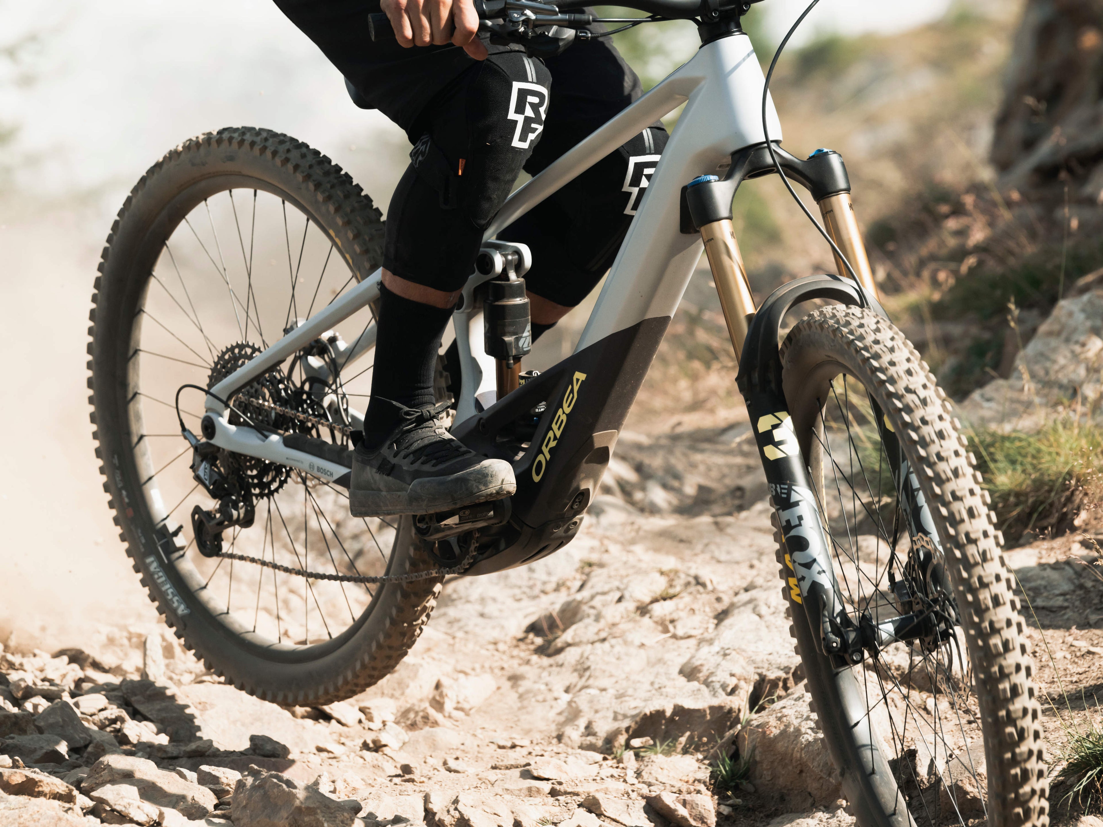 Orbea Wild M20