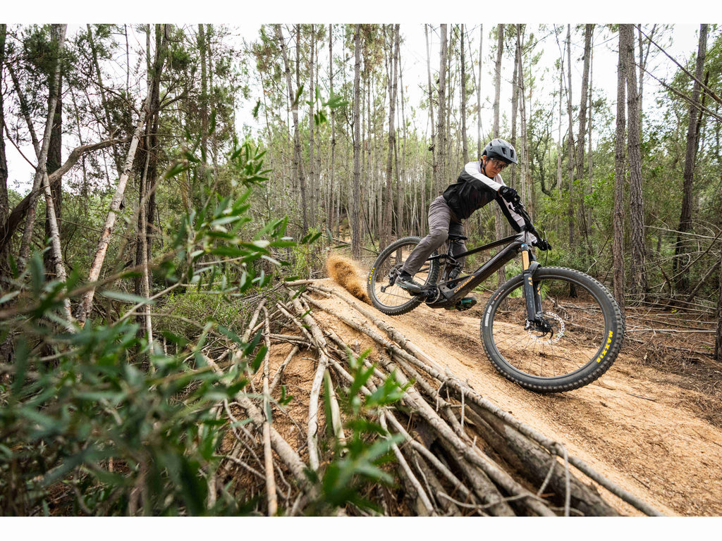 Orbea Wild M20
