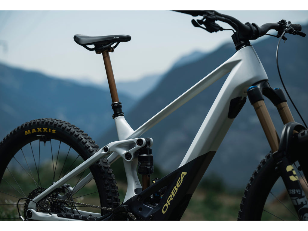 Orbea Wild FS M-LTD