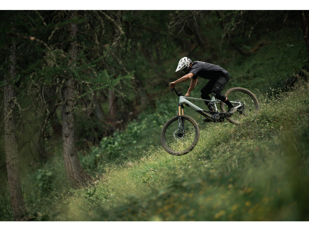 Orbea Wild FS M-LTD