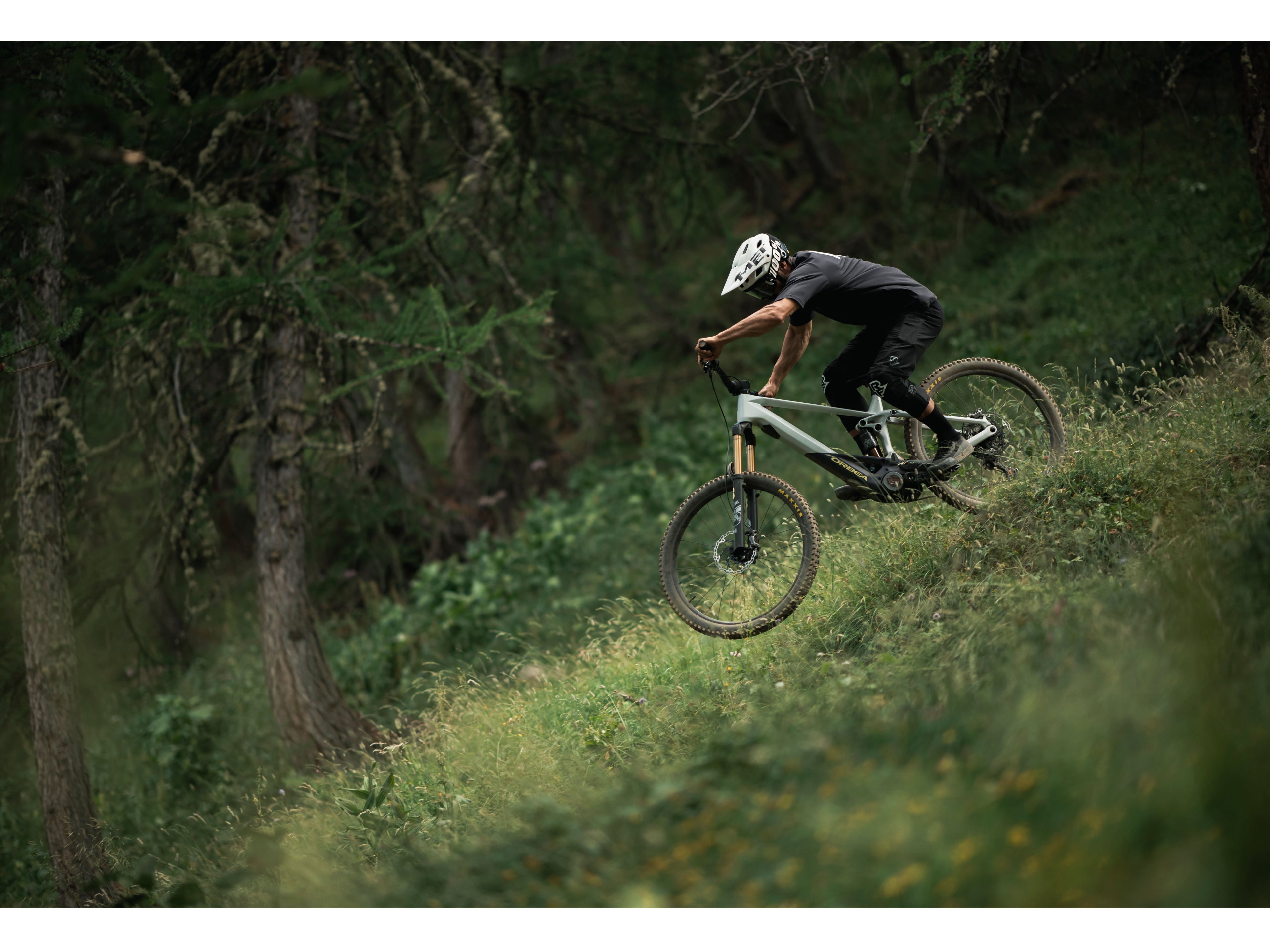 Orbea Wild FS M-LTD
