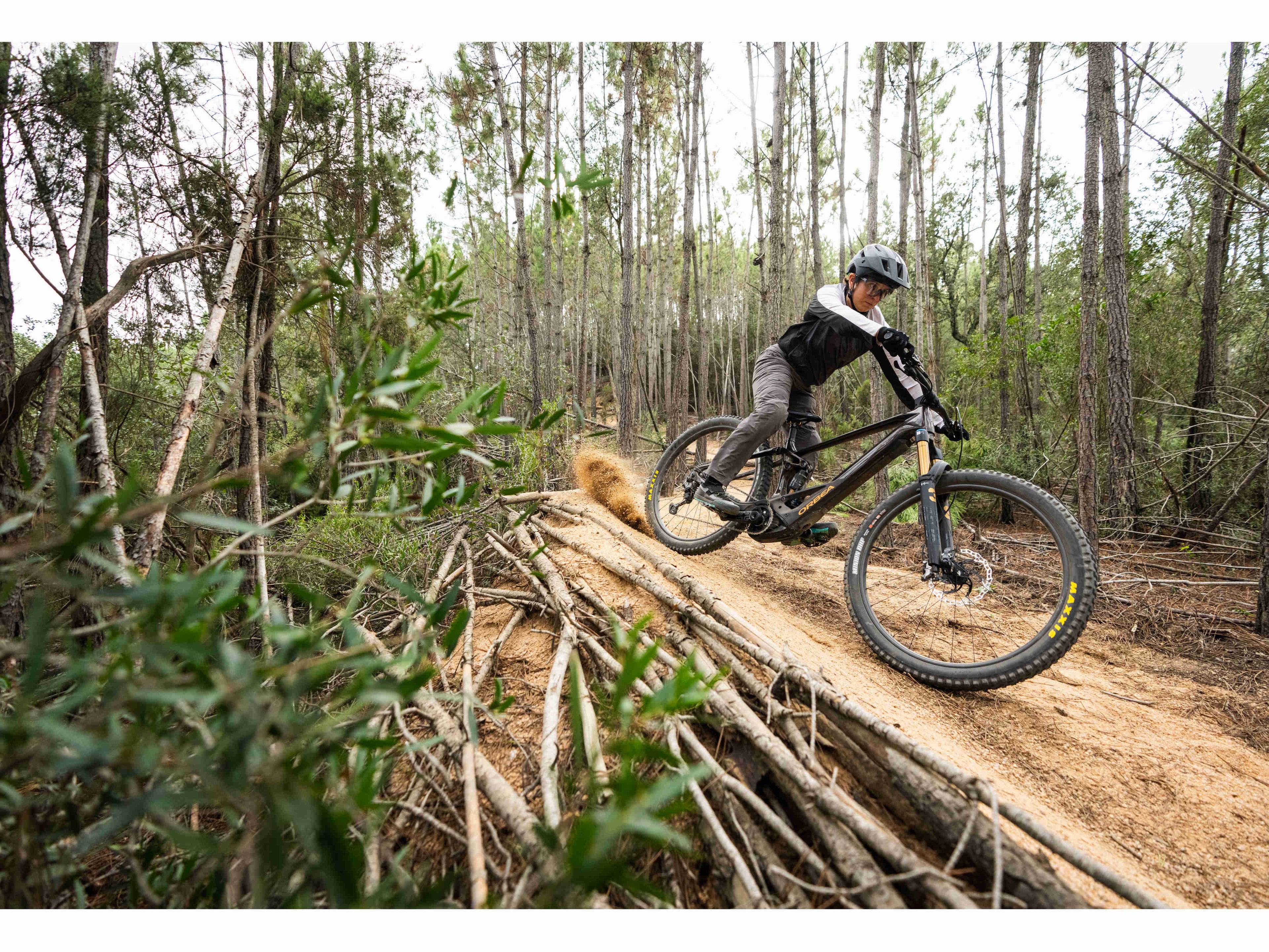 Orbea Wild FS M-LTD - DEMO