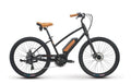 Raleigh Retroglide 2.0 iE Step Thru