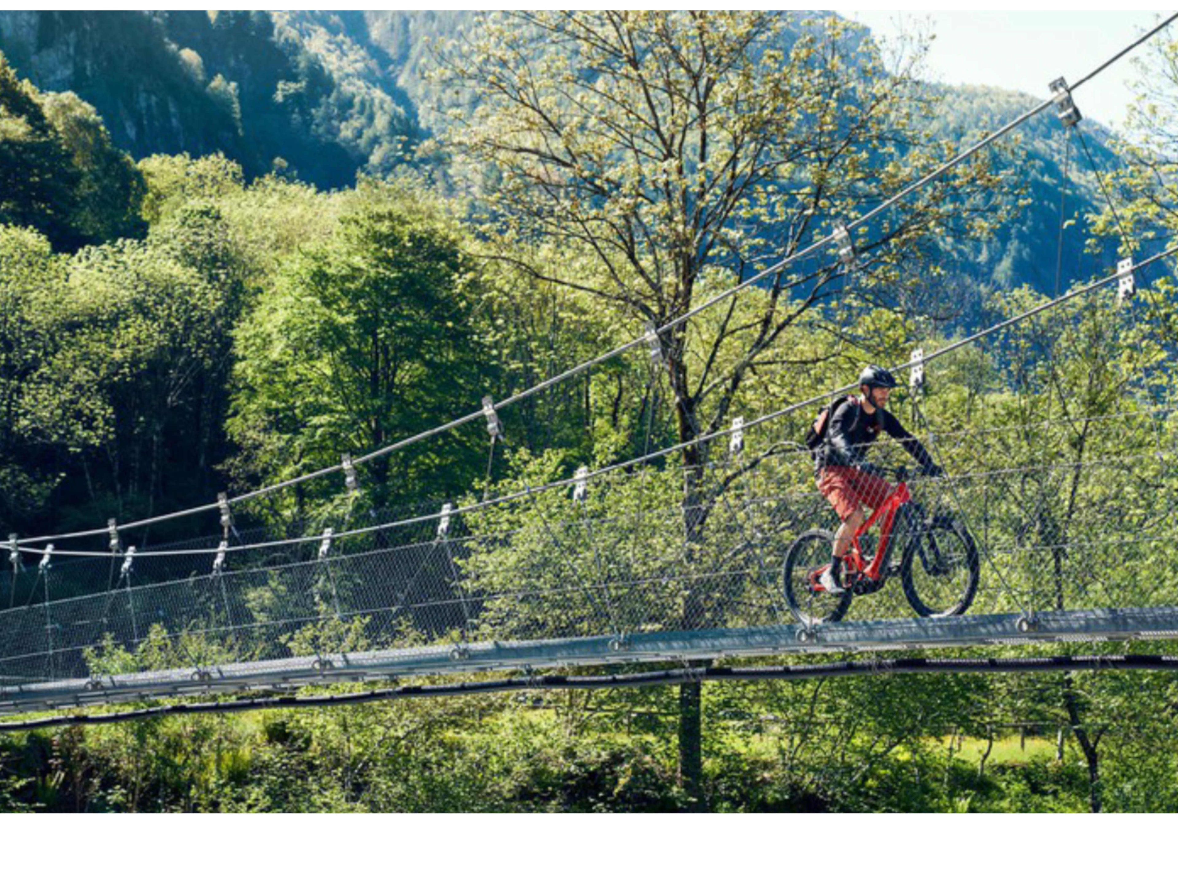 Riese and Muller Delite Mountain Rohloff