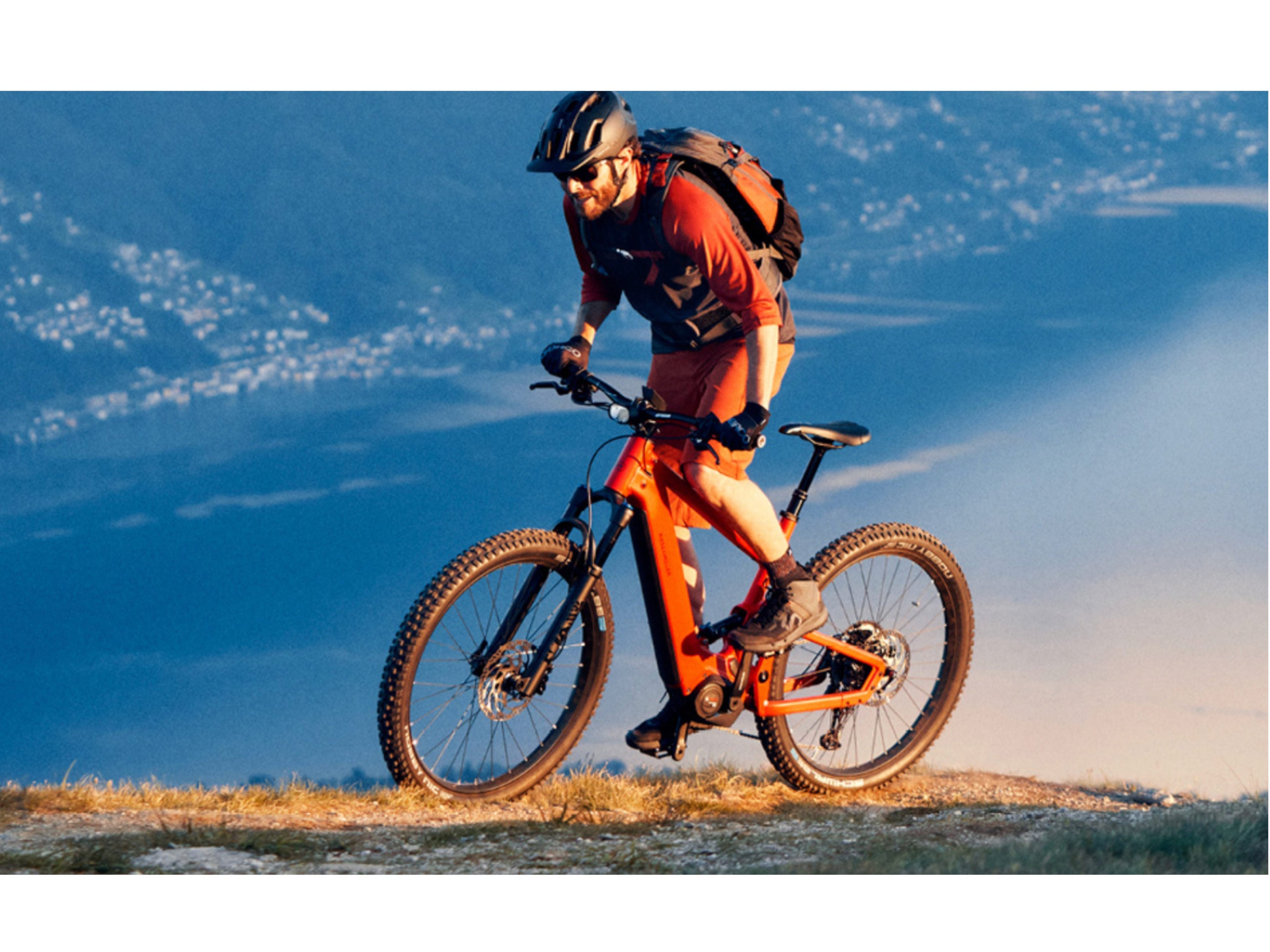 Riese and Muller Delite Mountain Rohloff