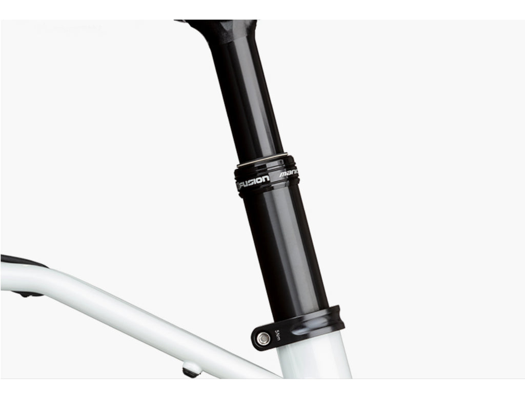 Riese and Muller Homage GT Rohloff