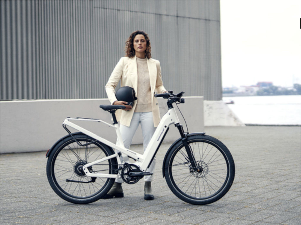 Riese and Muller Homage GT Rohloff