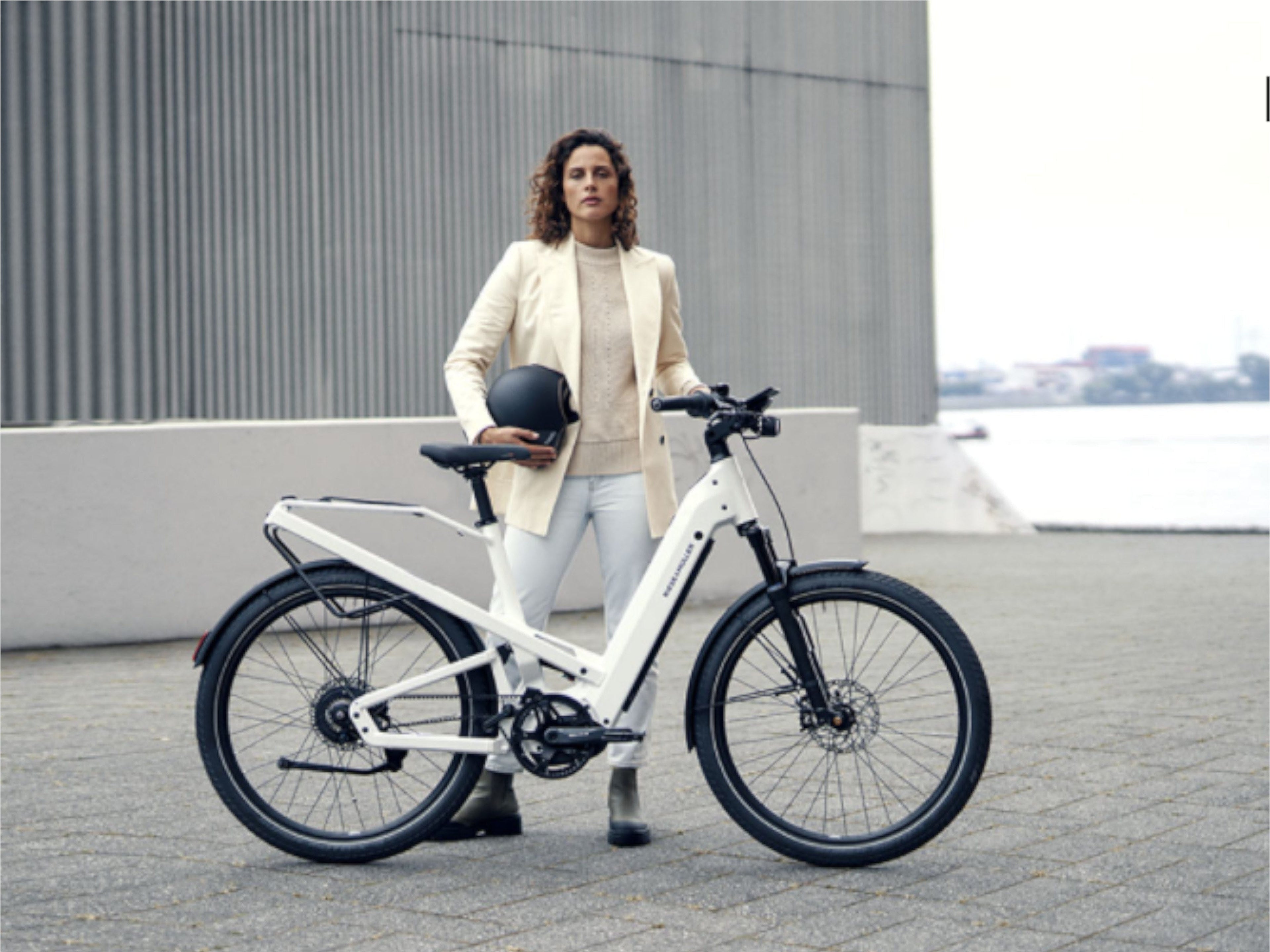 Riese and Muller Homage GT Rohloff