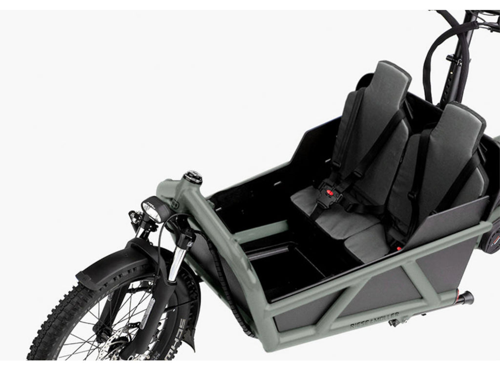 Riese and Muller Load4 60 Touring