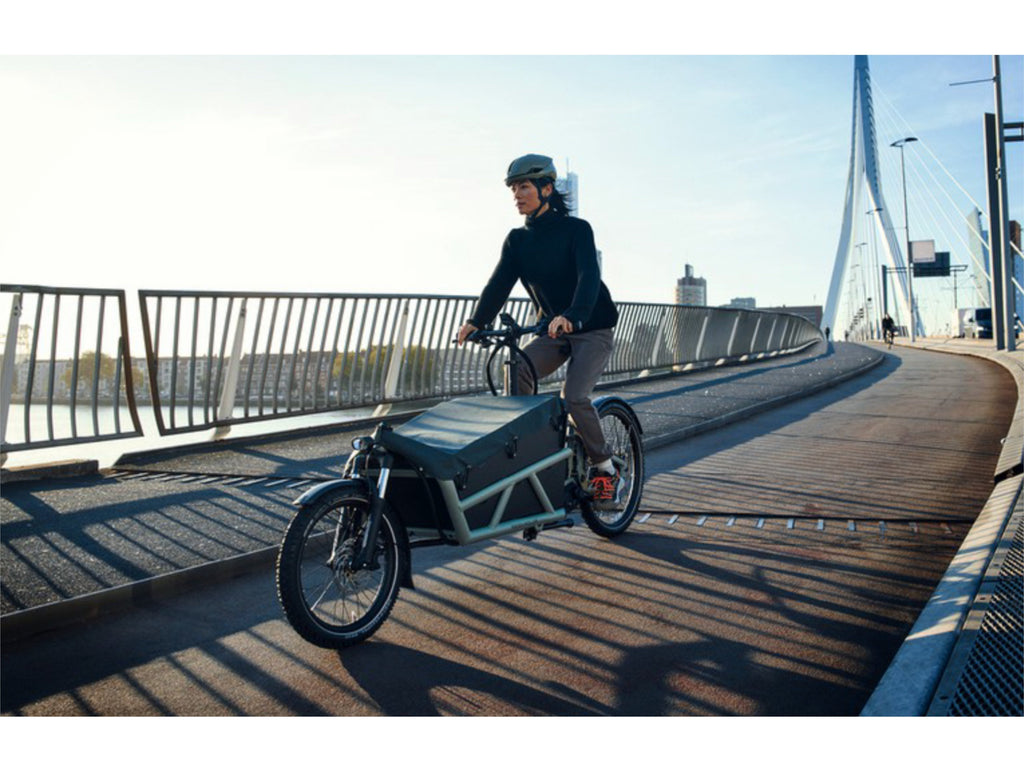 Riese and Muller Load4 60 Touring