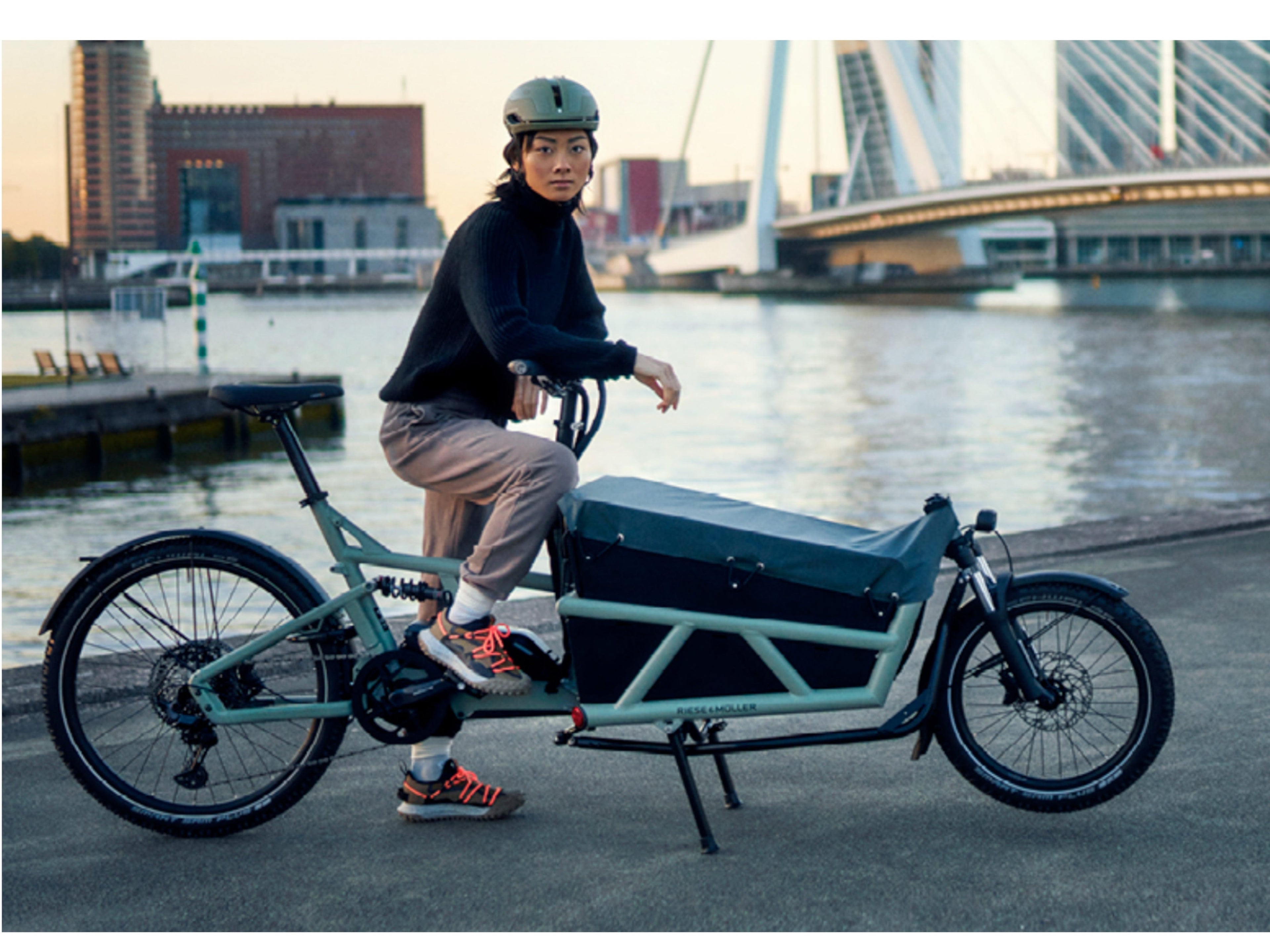 Riese and Muller Load4 60 Touring