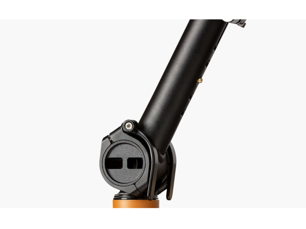 Riese and Muller Load4 75 Vario