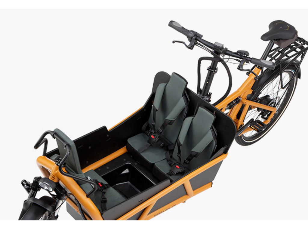 Riese and Muller Load4 75 Vario