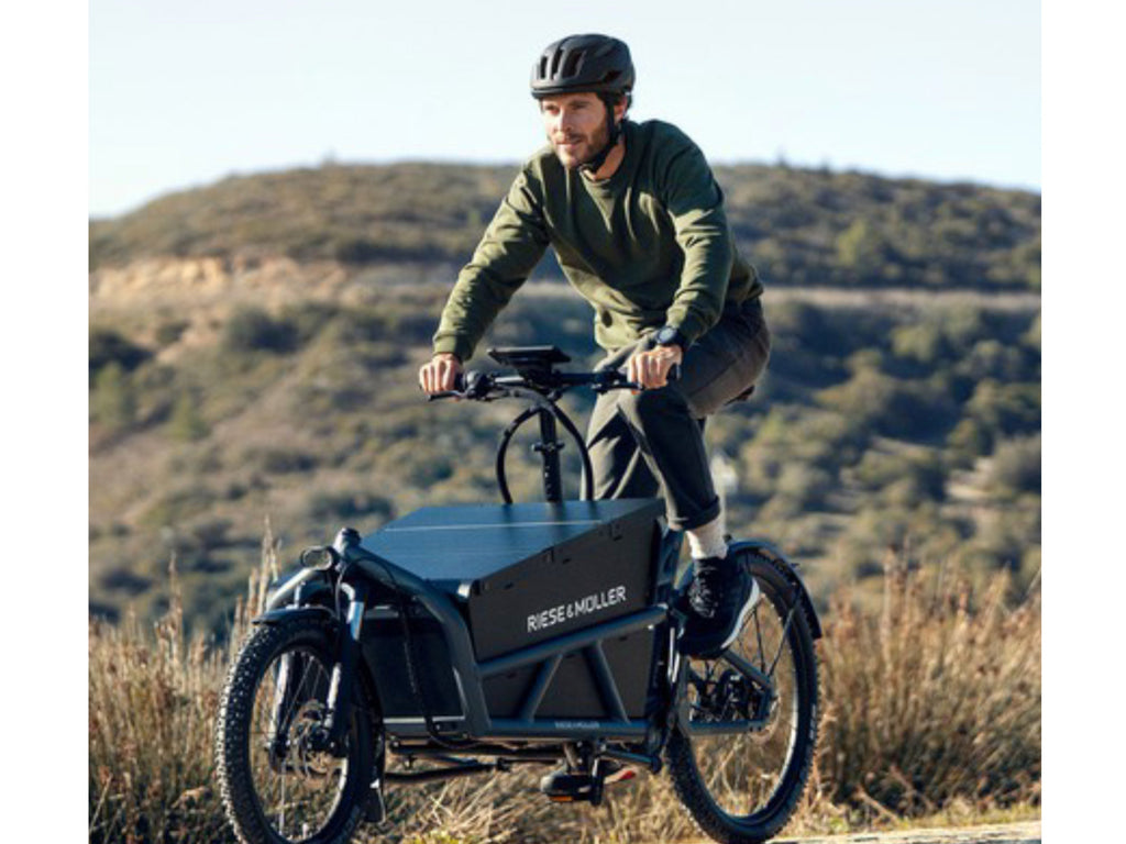 Riese and Muller Load 60 Touring HS